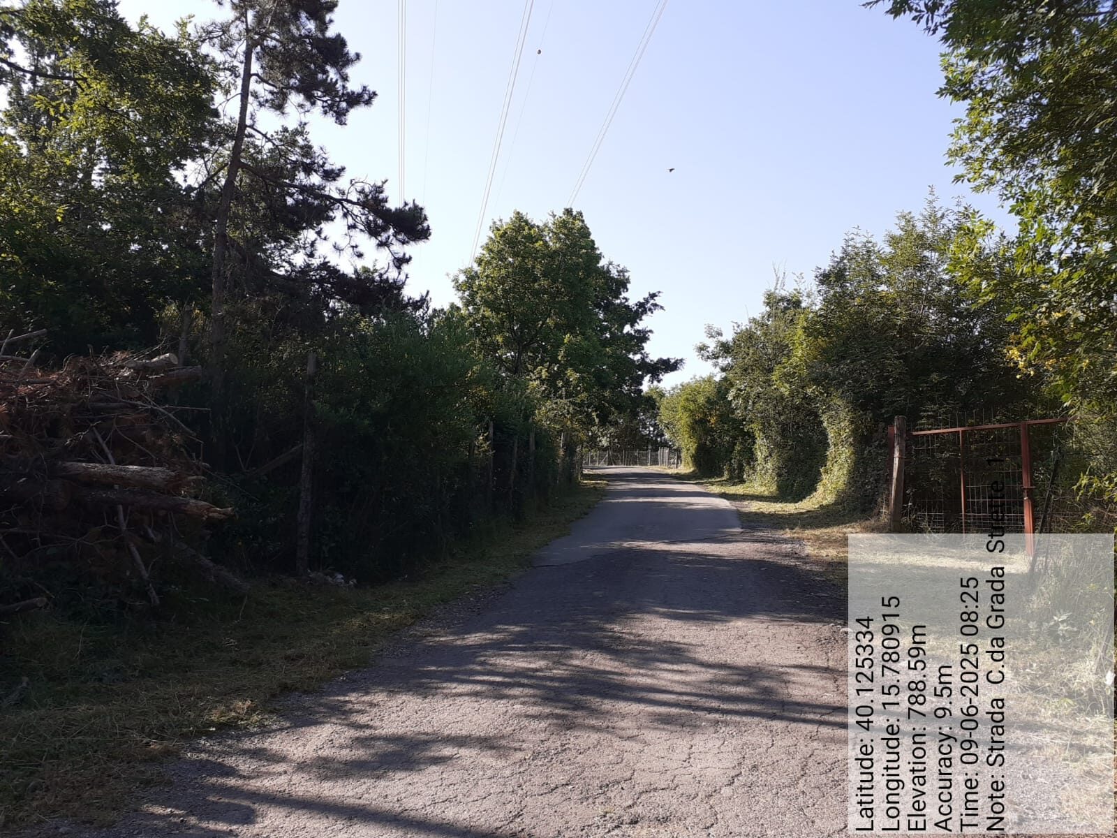 Galleria Fotografica Immagine