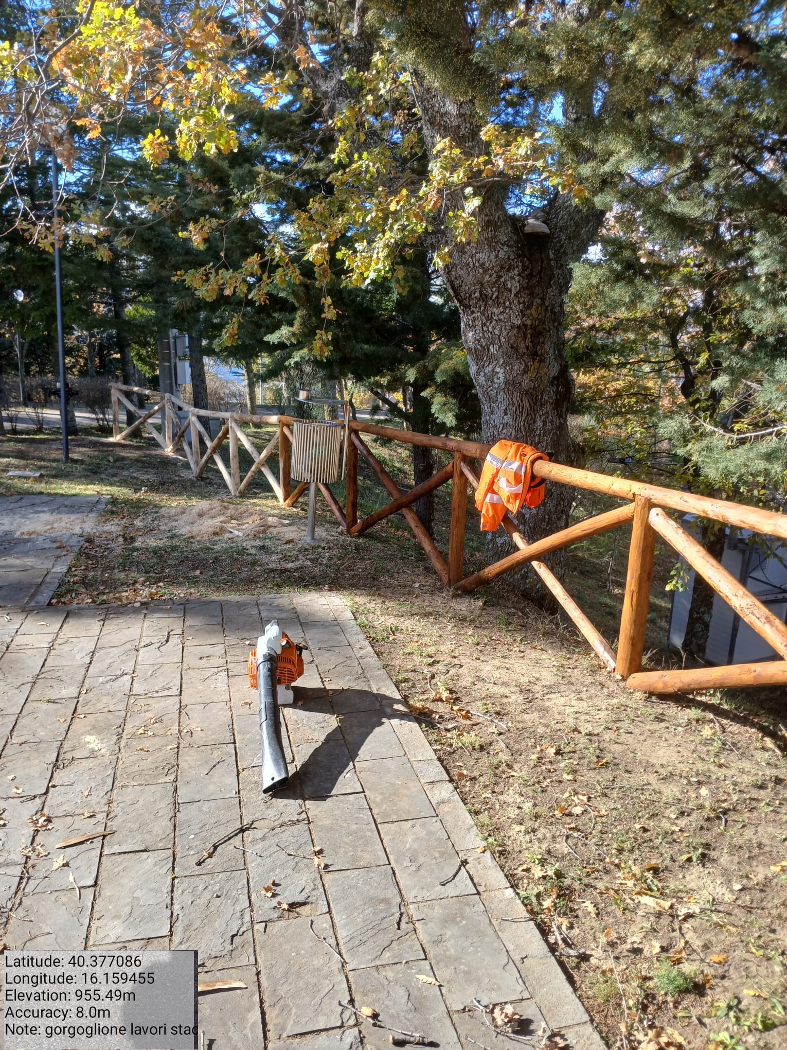 Galleria Fotografica Immagine