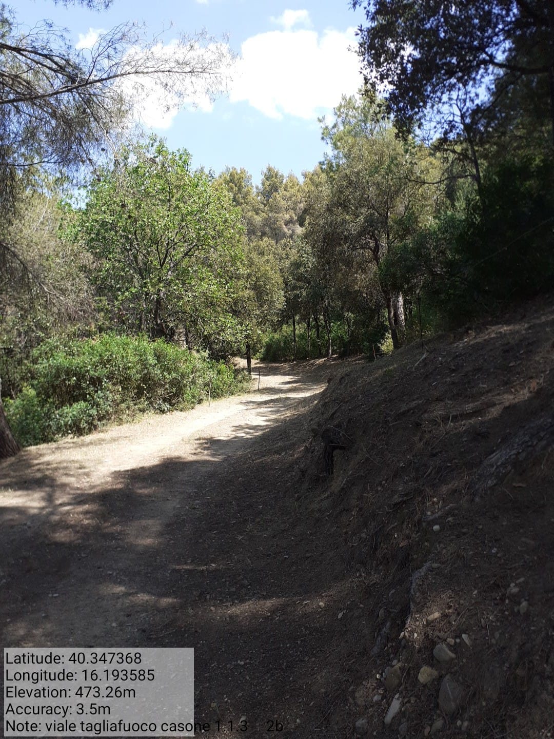 Galleria Fotografica Immagine