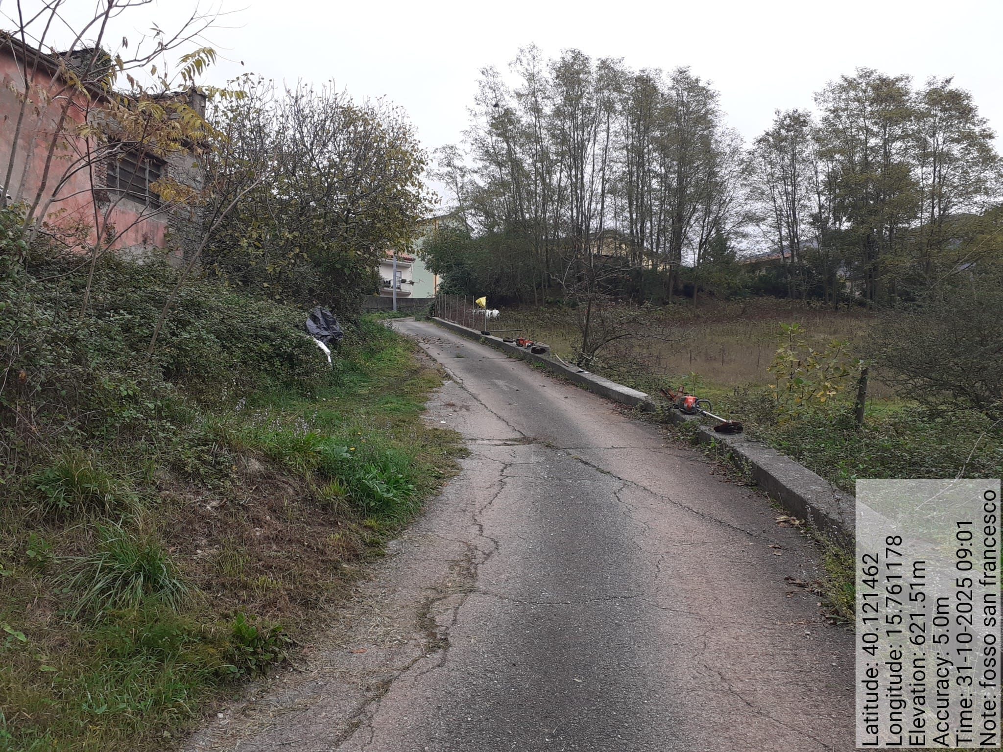 Galleria Fotografica Immagine