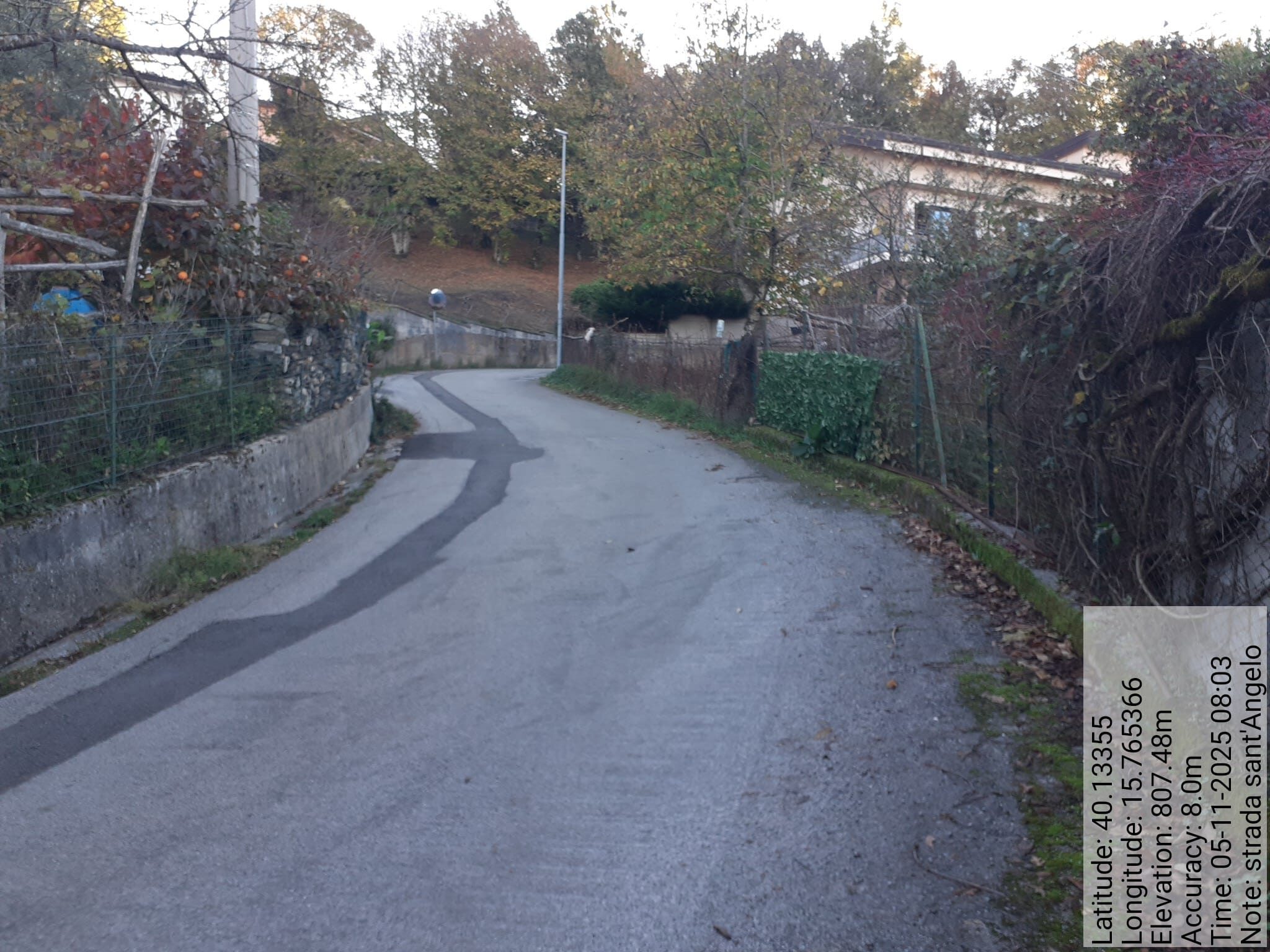 Galleria Fotografica Immagine