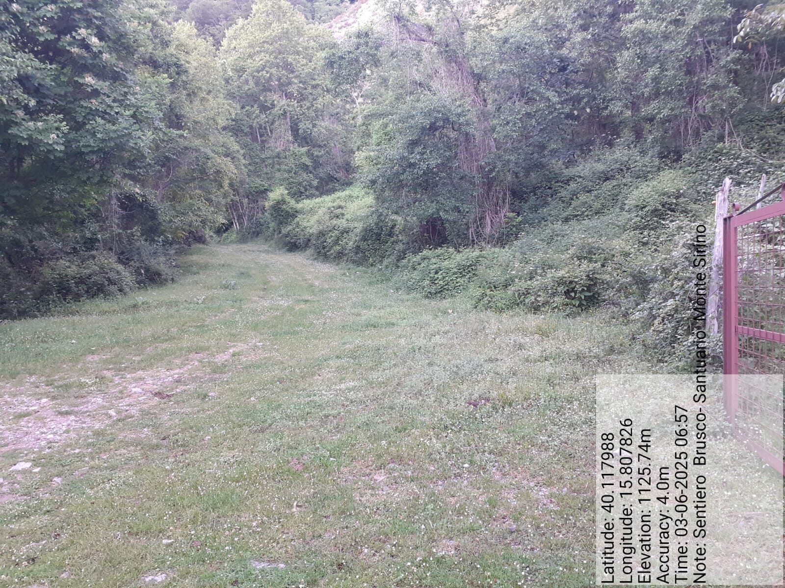 Galleria Fotografica Immagine