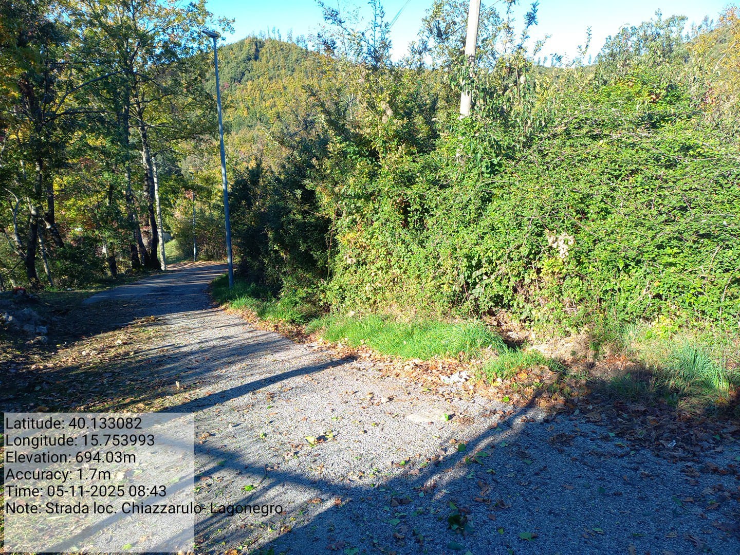 Galleria Fotografica Immagine