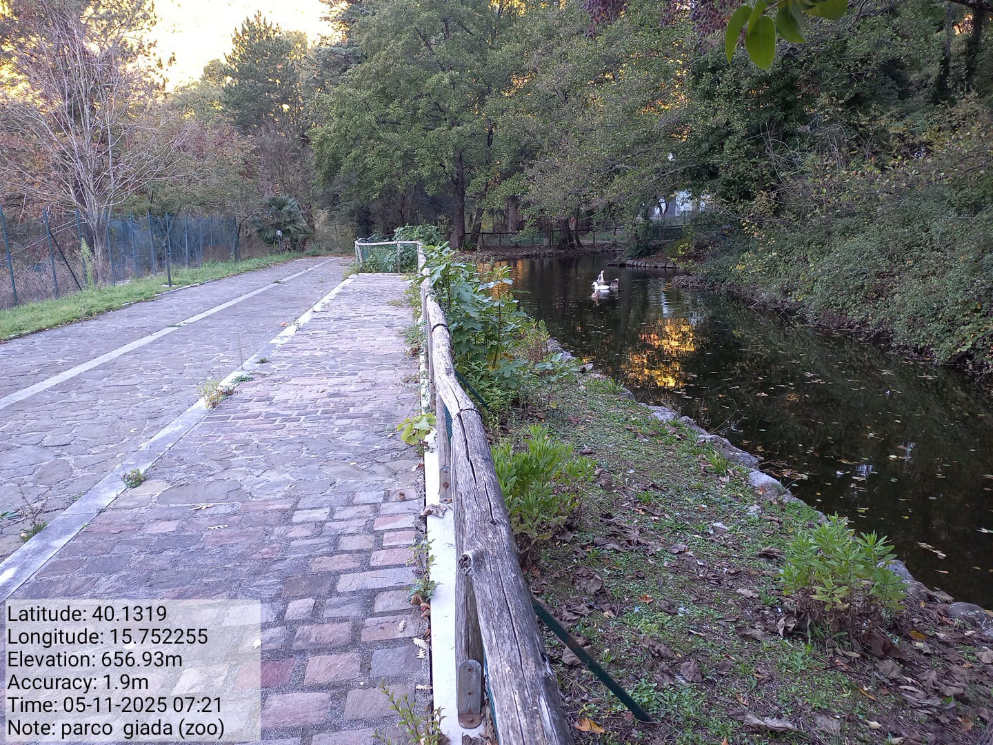 Galleria Fotografica Immagine