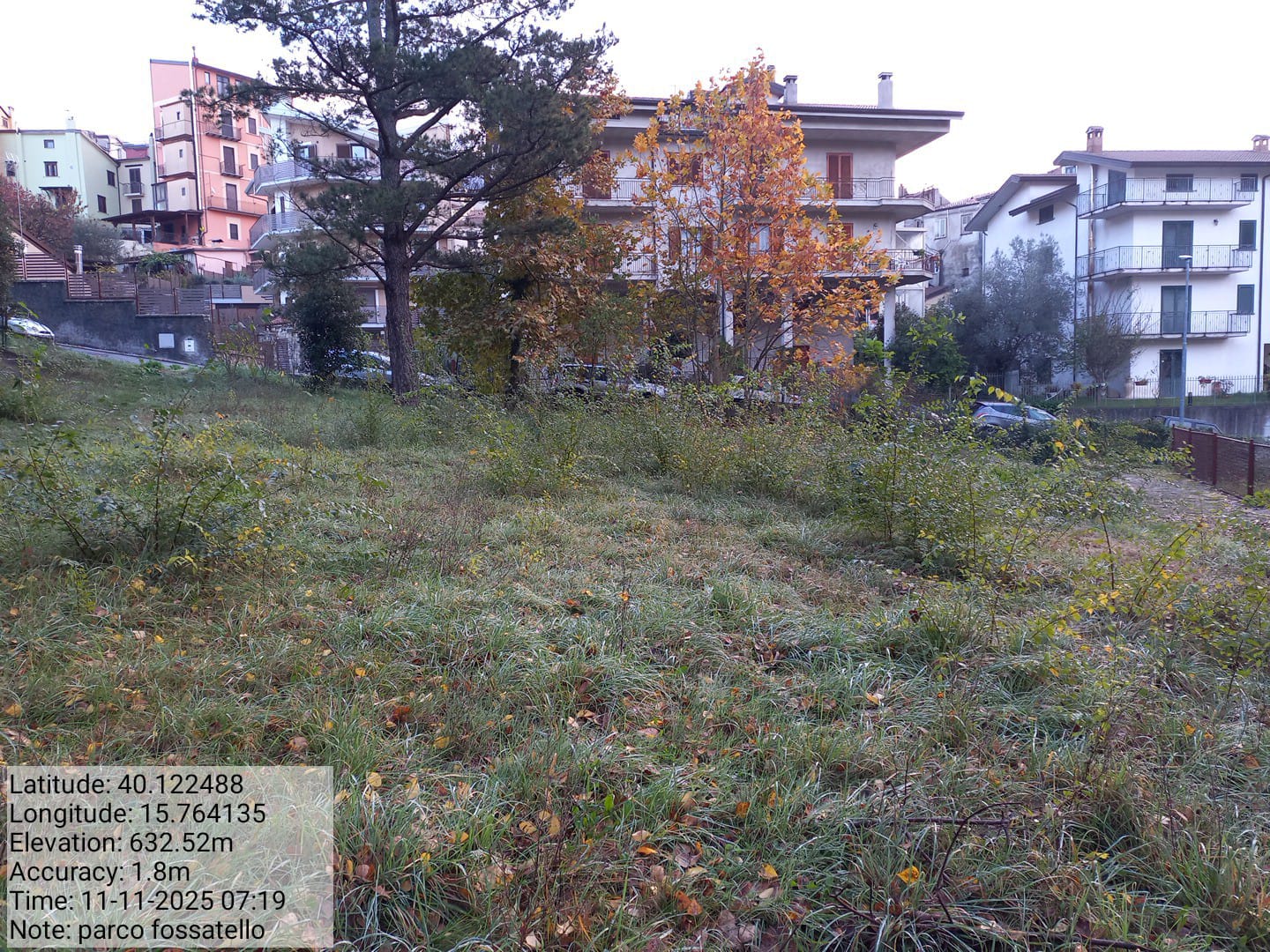 Galleria Fotografica Immagine