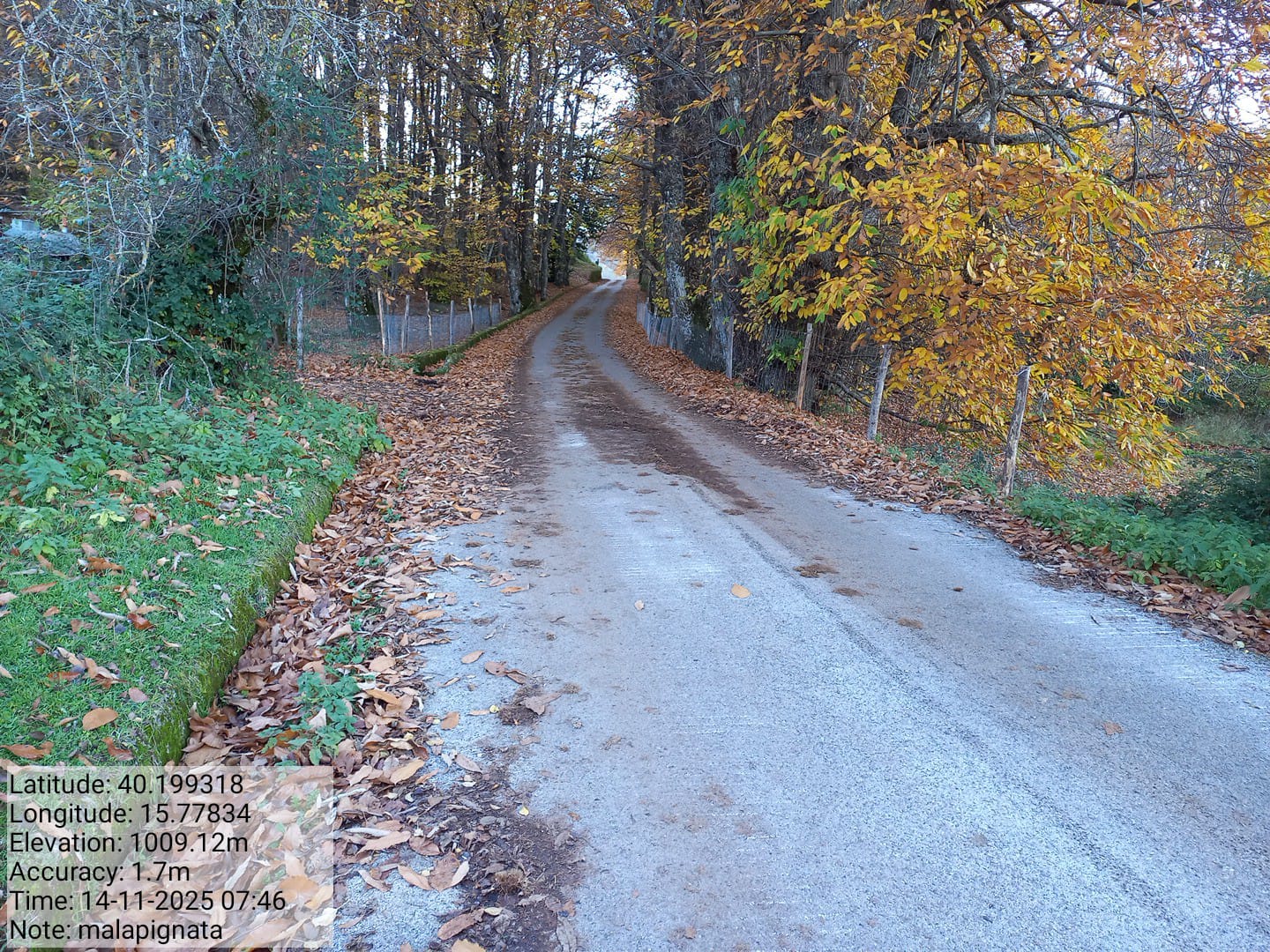 Galleria Fotografica Immagine