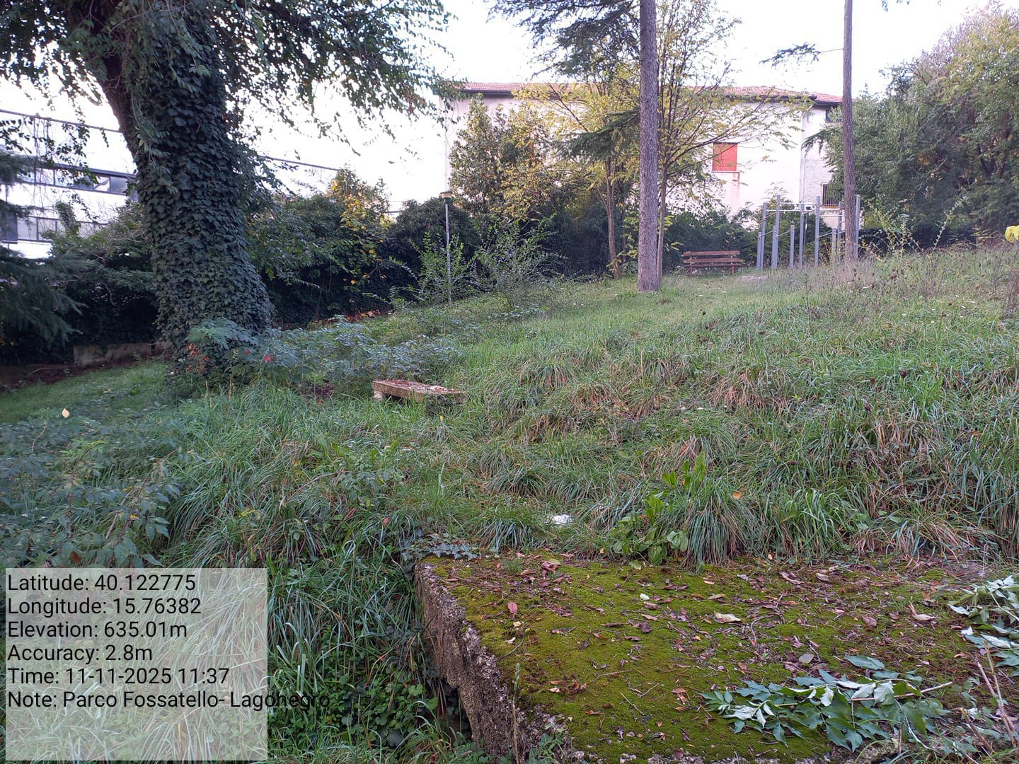 Galleria Fotografica Immagine