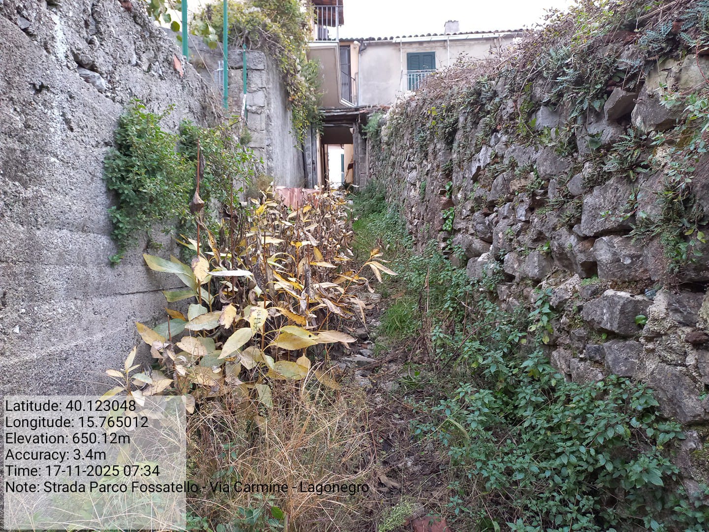 Galleria Fotografica Immagine