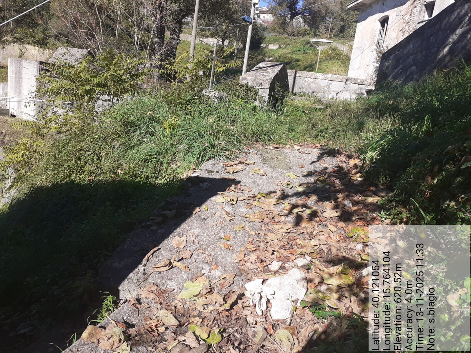 Galleria Fotografica Immagine