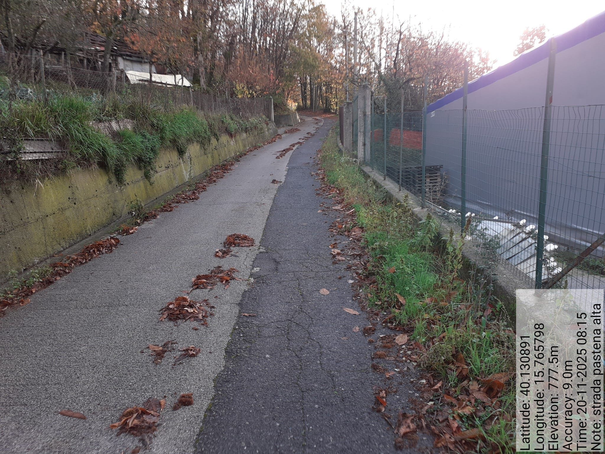 Galleria Fotografica Immagine