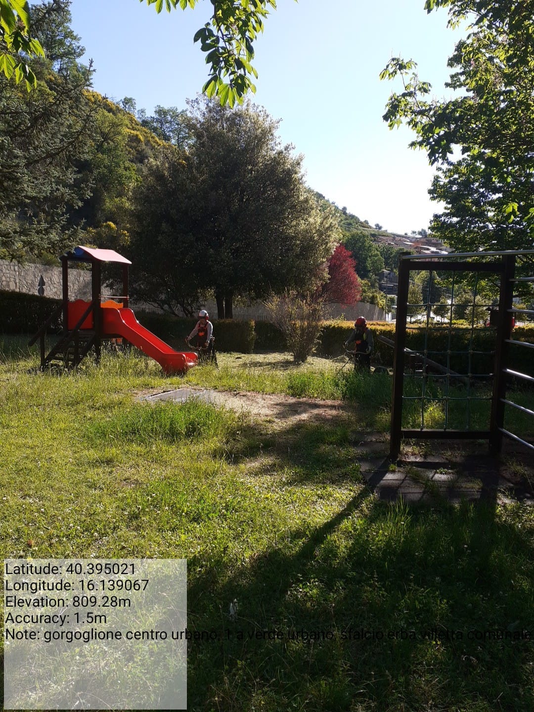 Galleria Fotografica Immagine