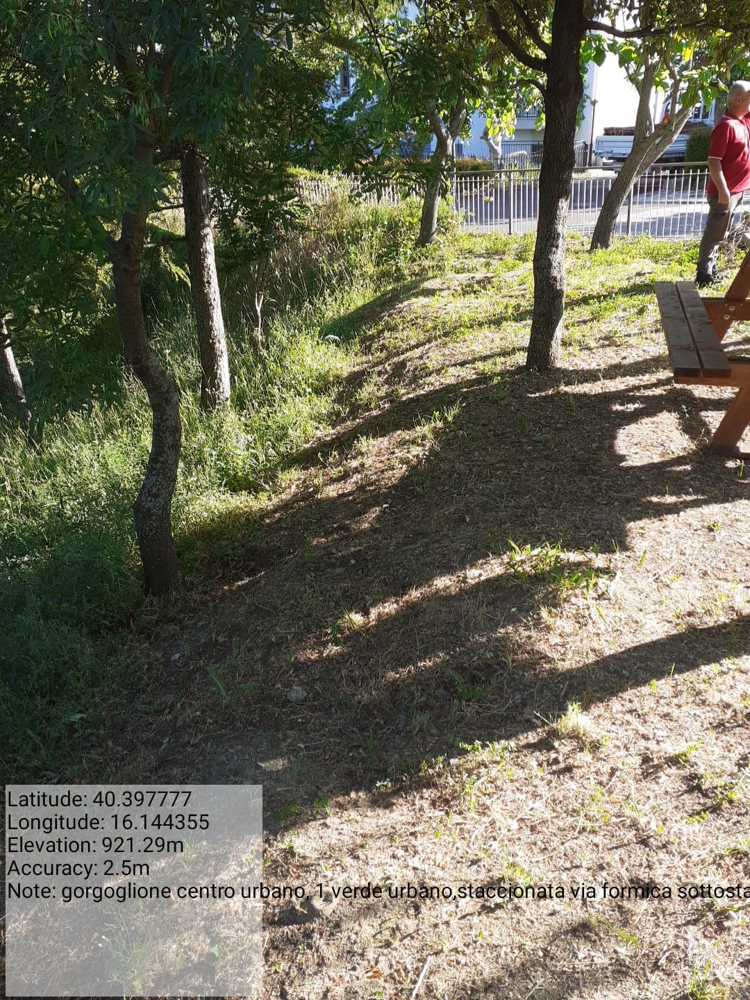 Galleria Fotografica Immagine