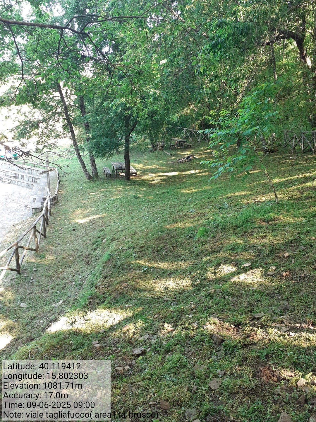 Galleria Fotografica Immagine