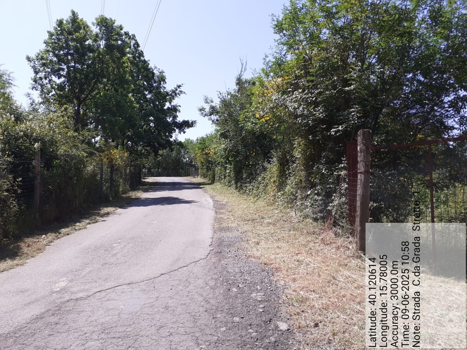 Galleria Fotografica Immagine