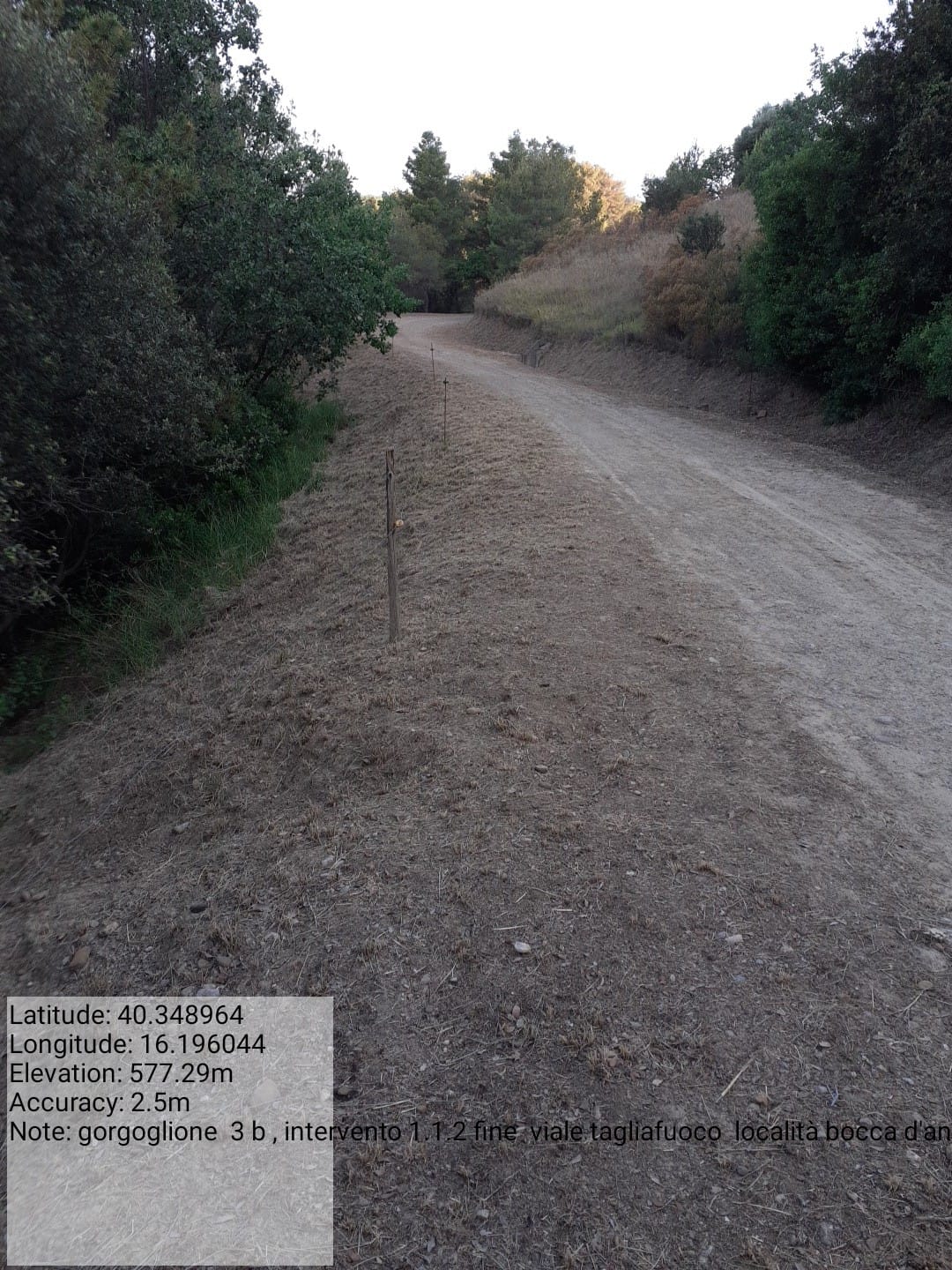 Galleria Fotografica Immagine