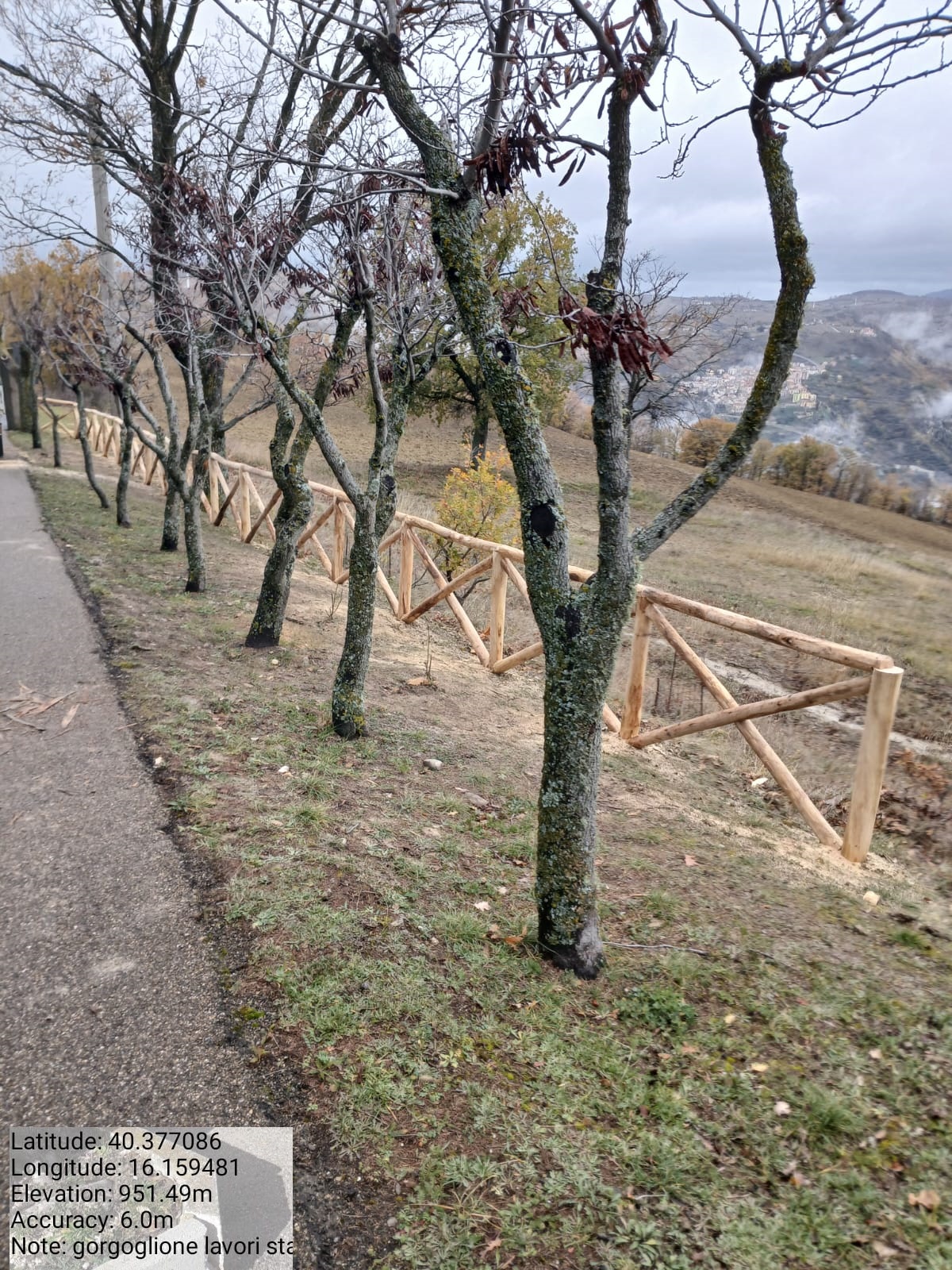 Galleria Fotografica Immagine