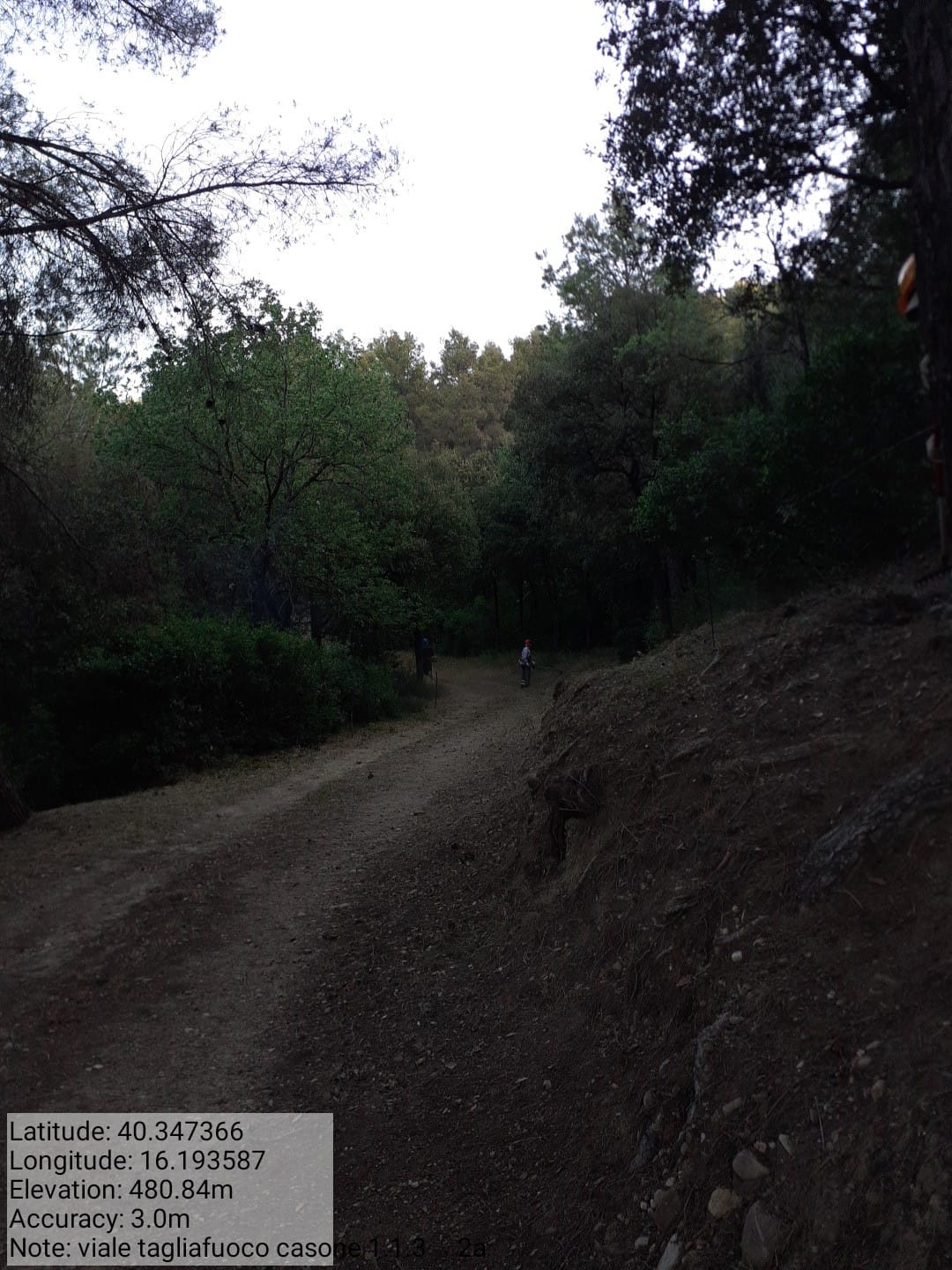 Galleria Fotografica Immagine