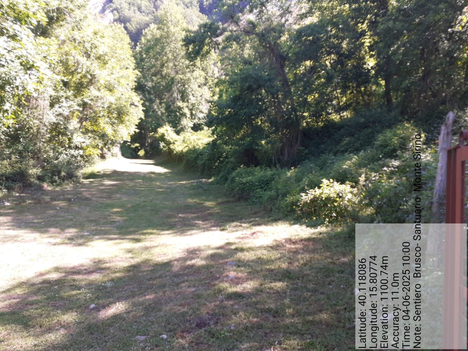 Galleria Fotografica Immagine