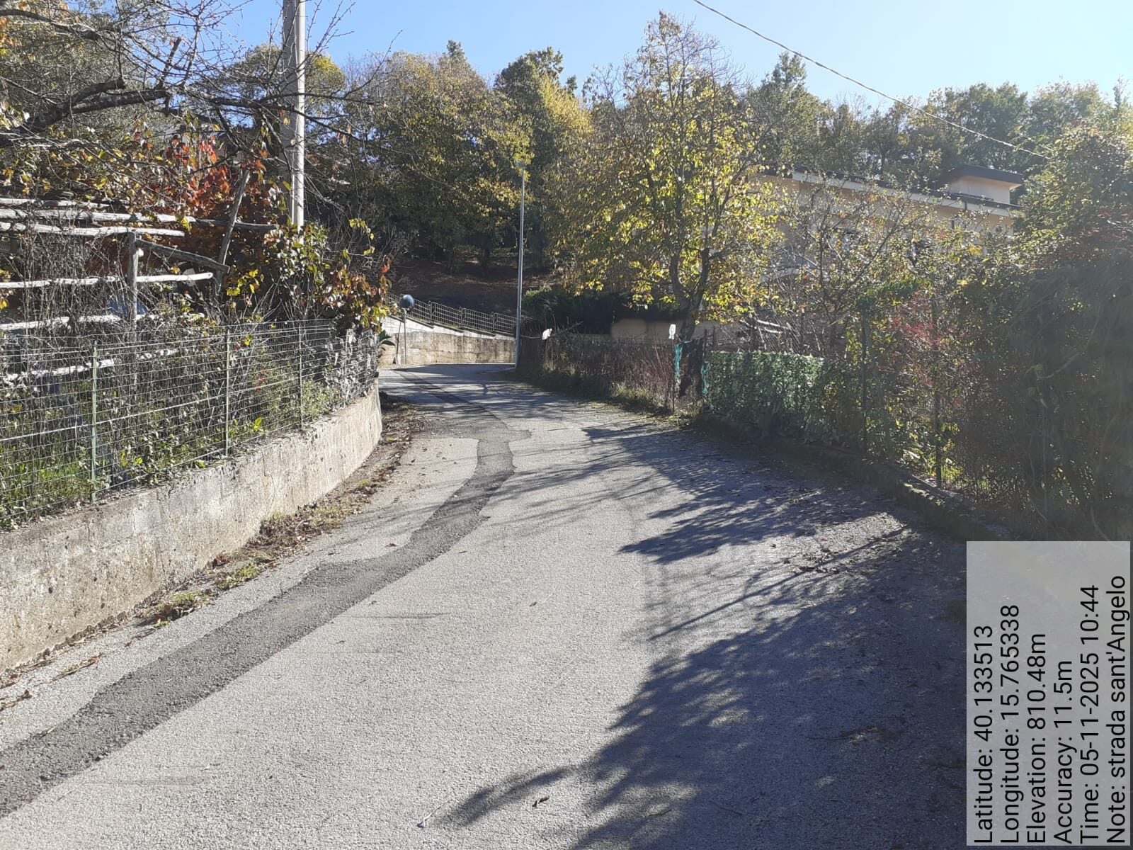 Galleria Fotografica Immagine