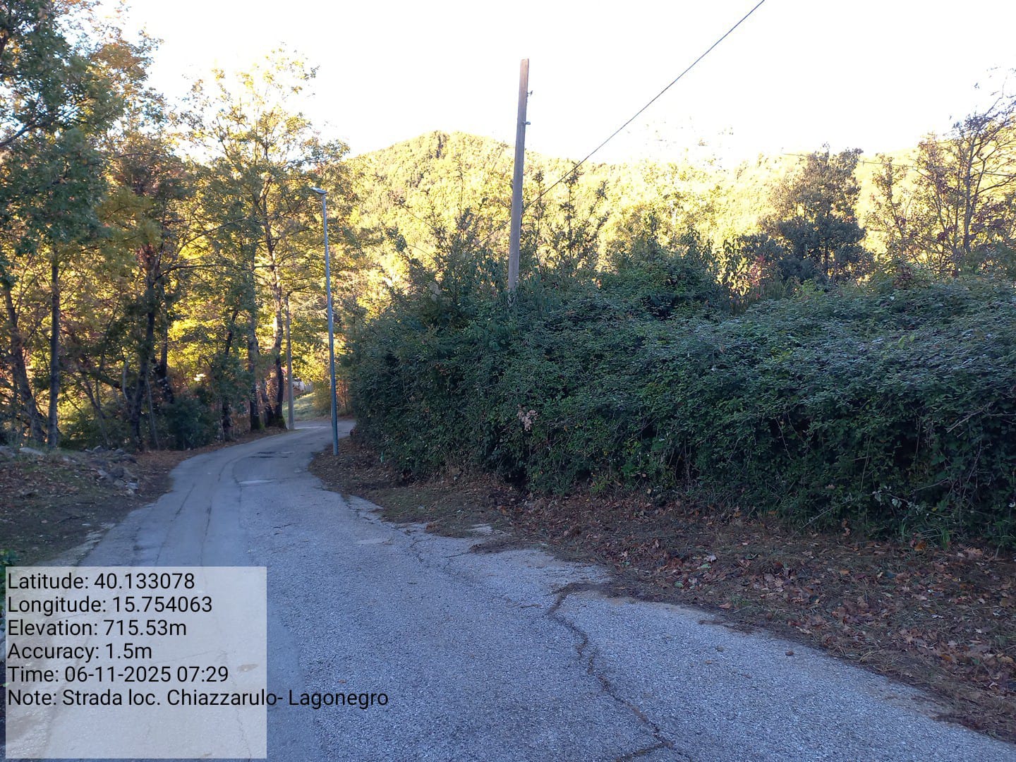 Galleria Fotografica Immagine