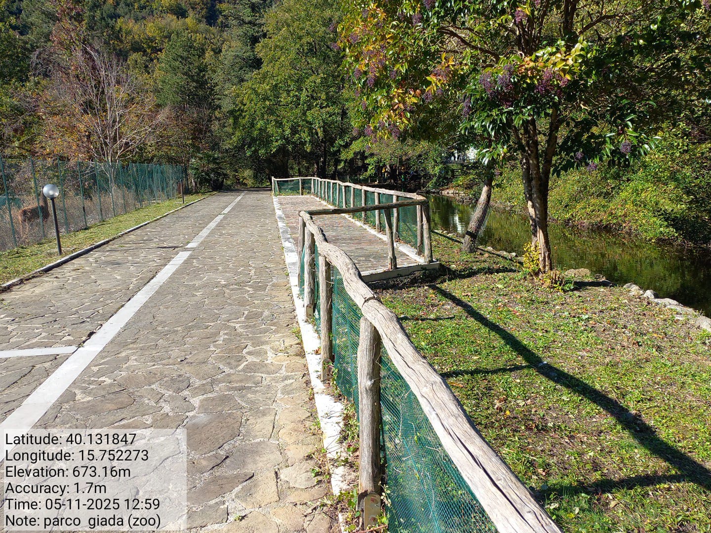 Galleria Fotografica Immagine