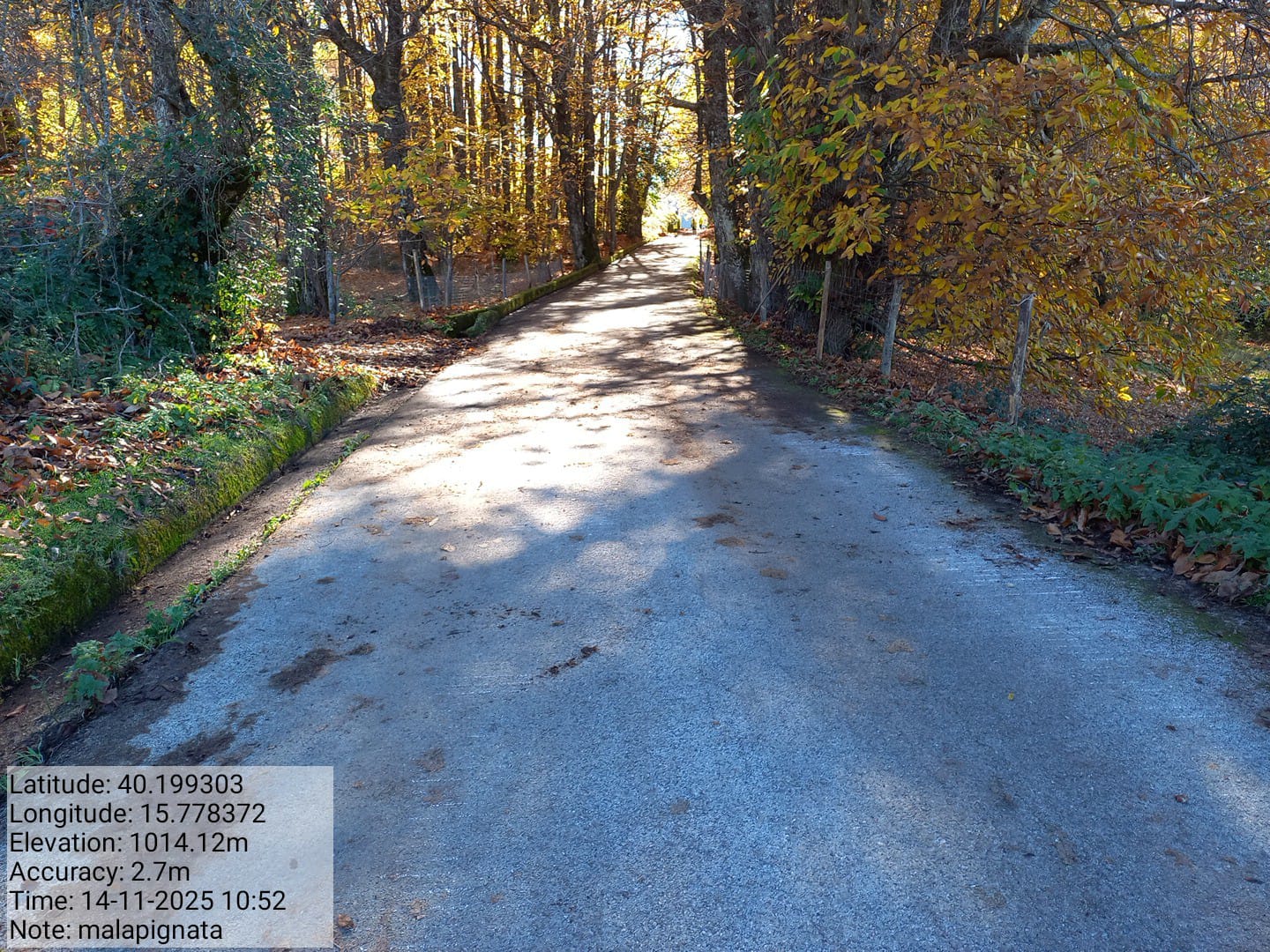 Galleria Fotografica Immagine