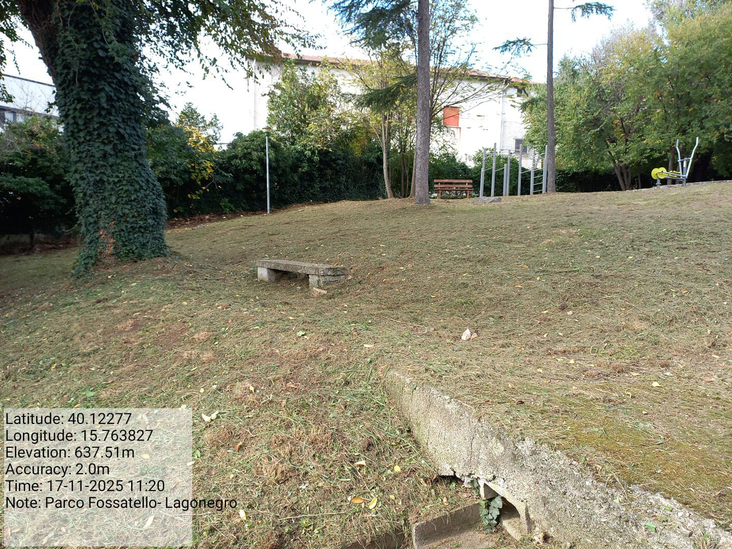 Galleria Fotografica Immagine