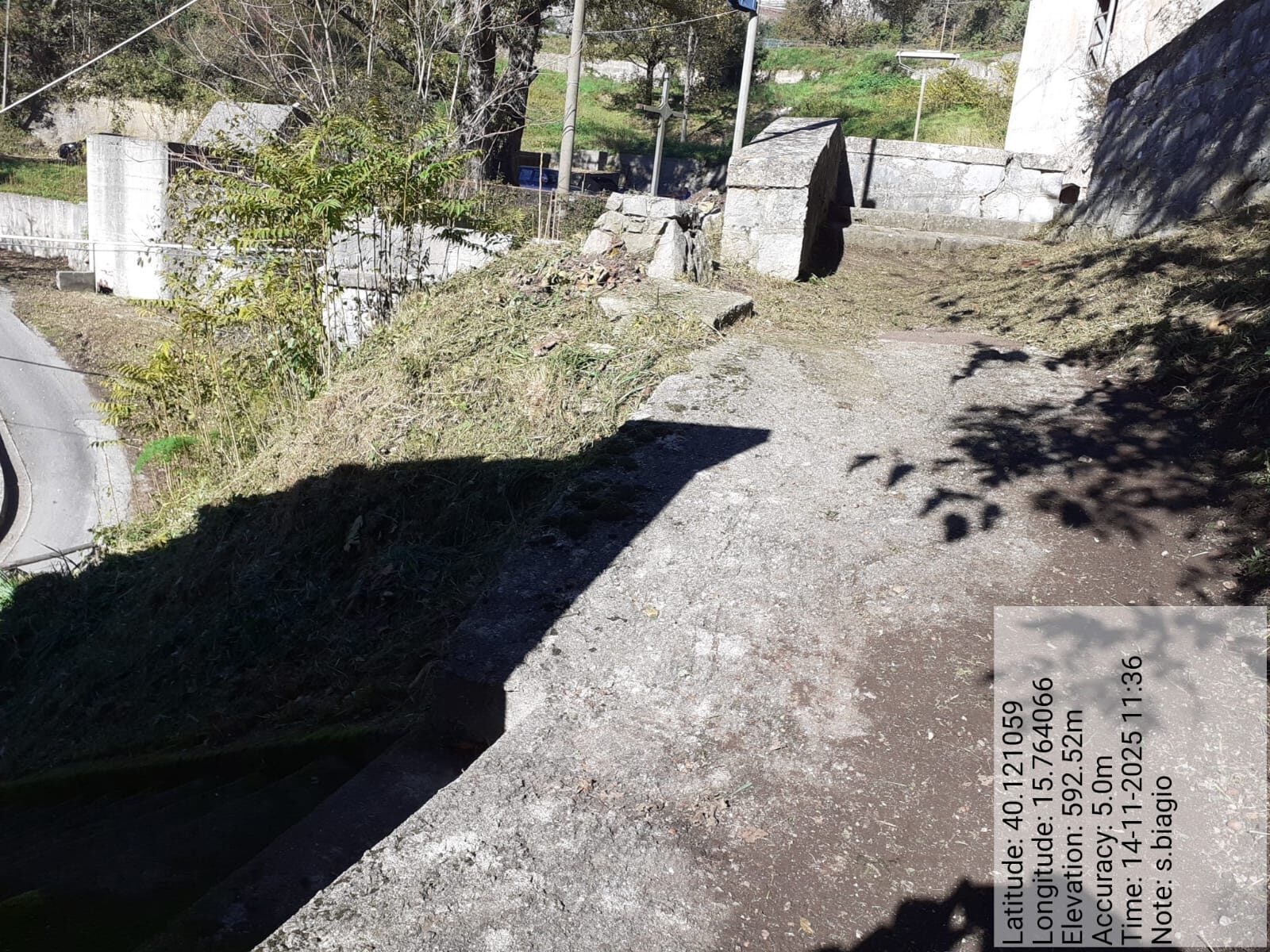 Galleria Fotografica Immagine