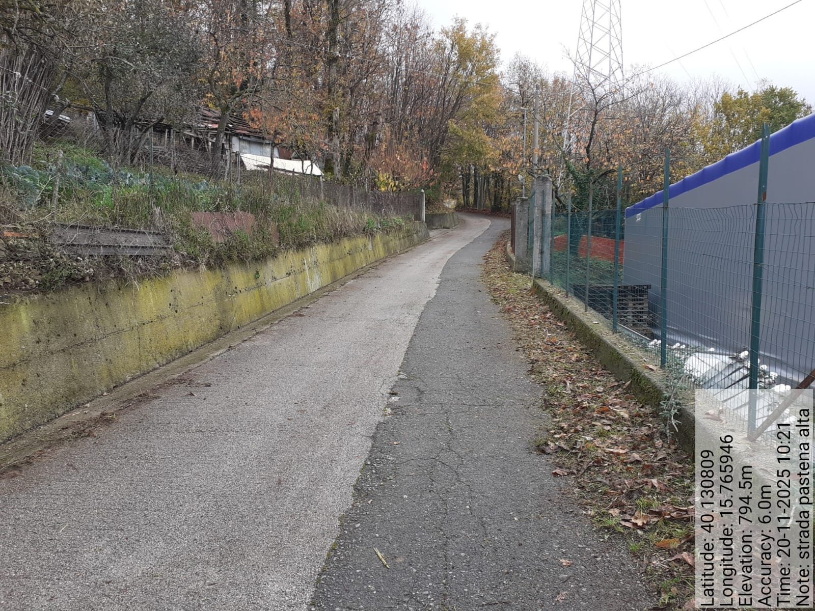 Galleria Fotografica Immagine