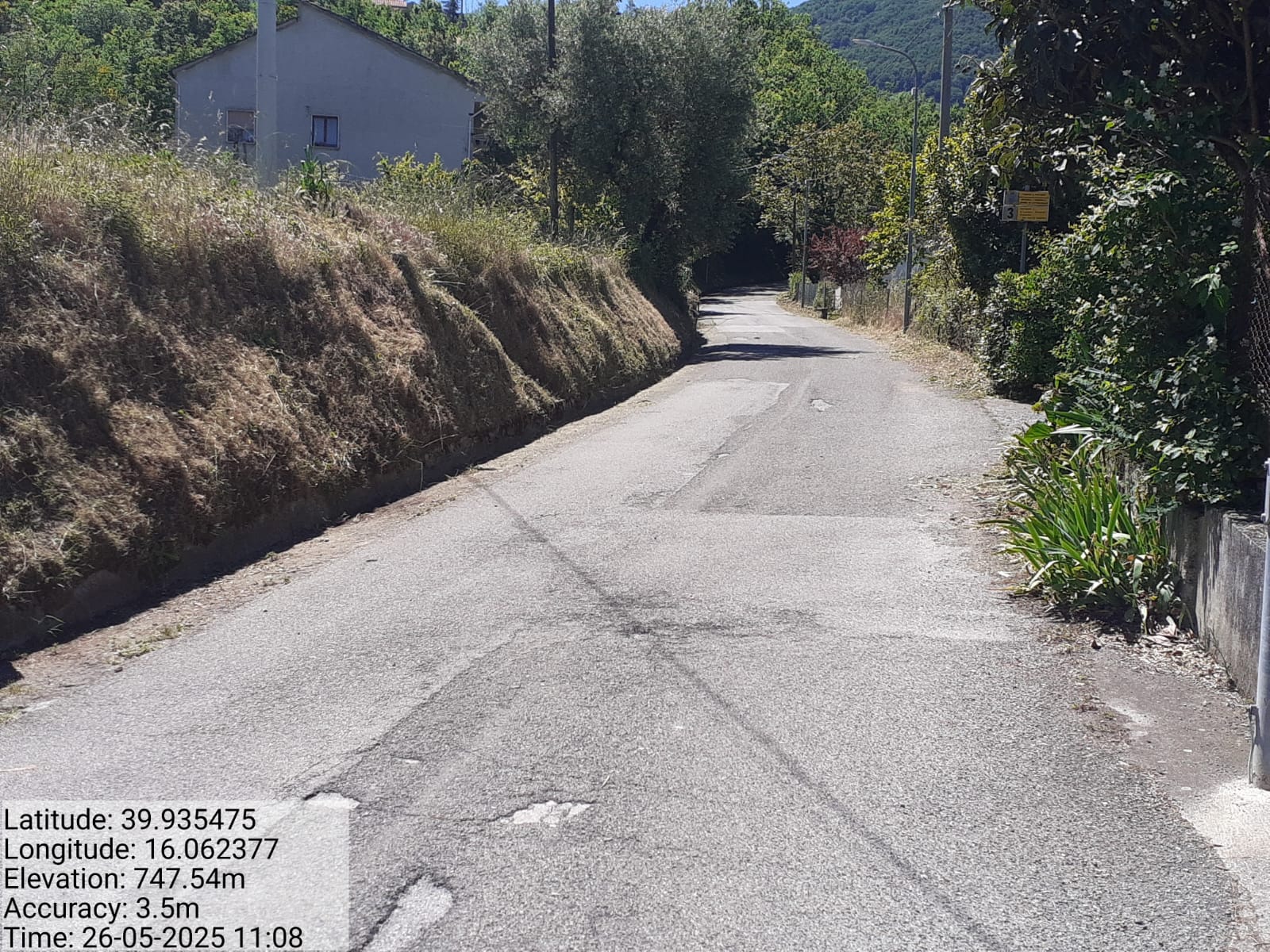 Galleria Fotografica Immagine