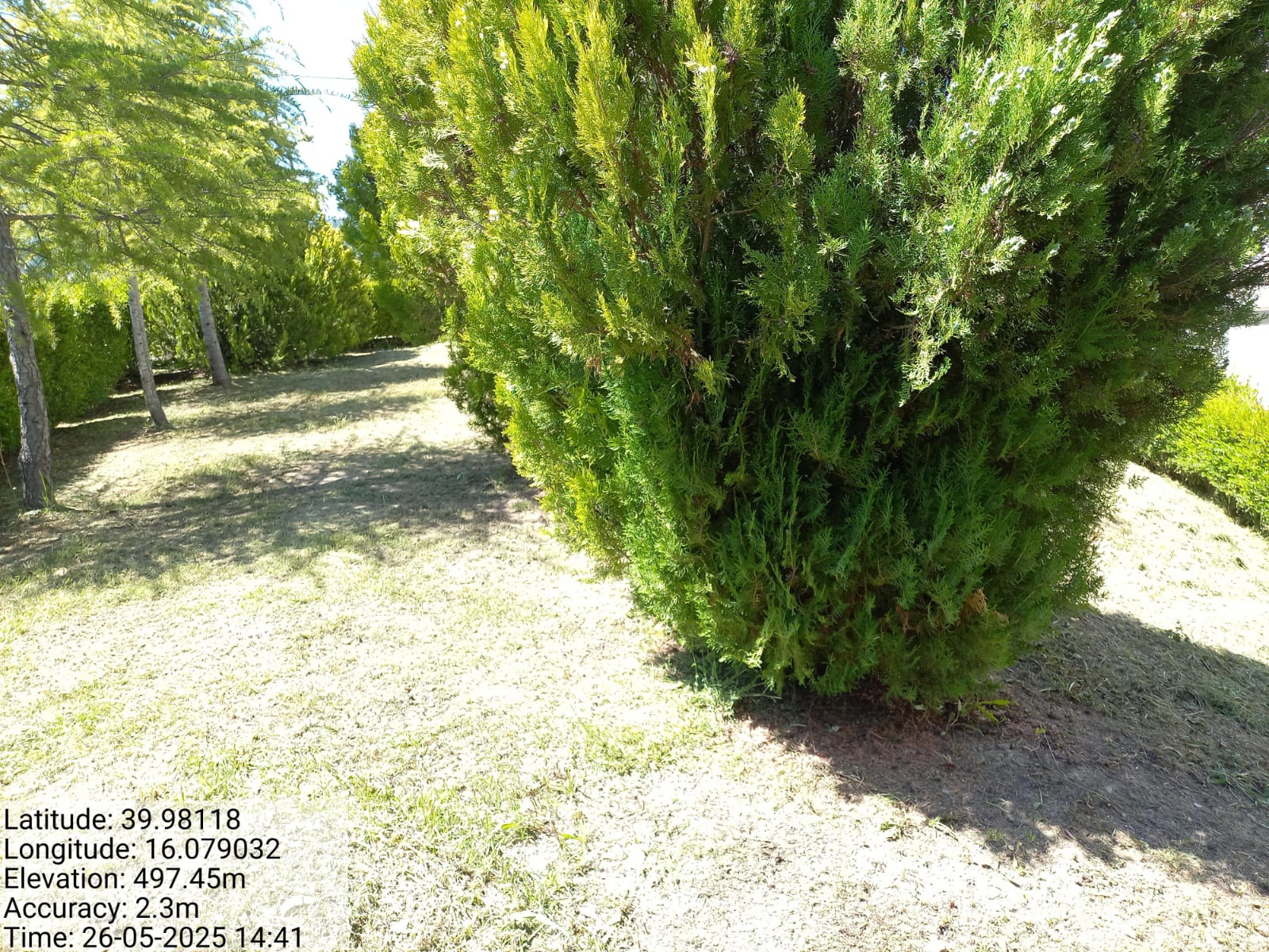 Galleria Fotografica Immagine