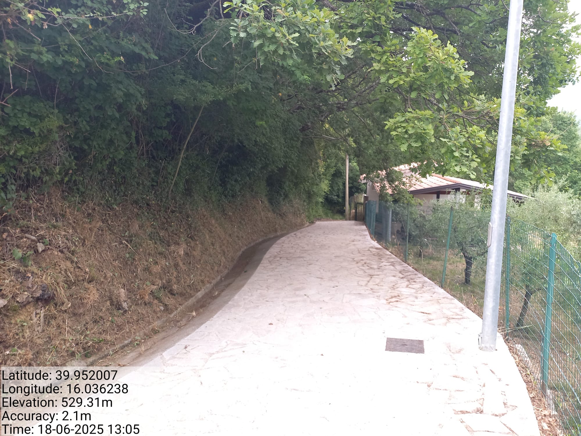 Galleria Fotografica Immagine