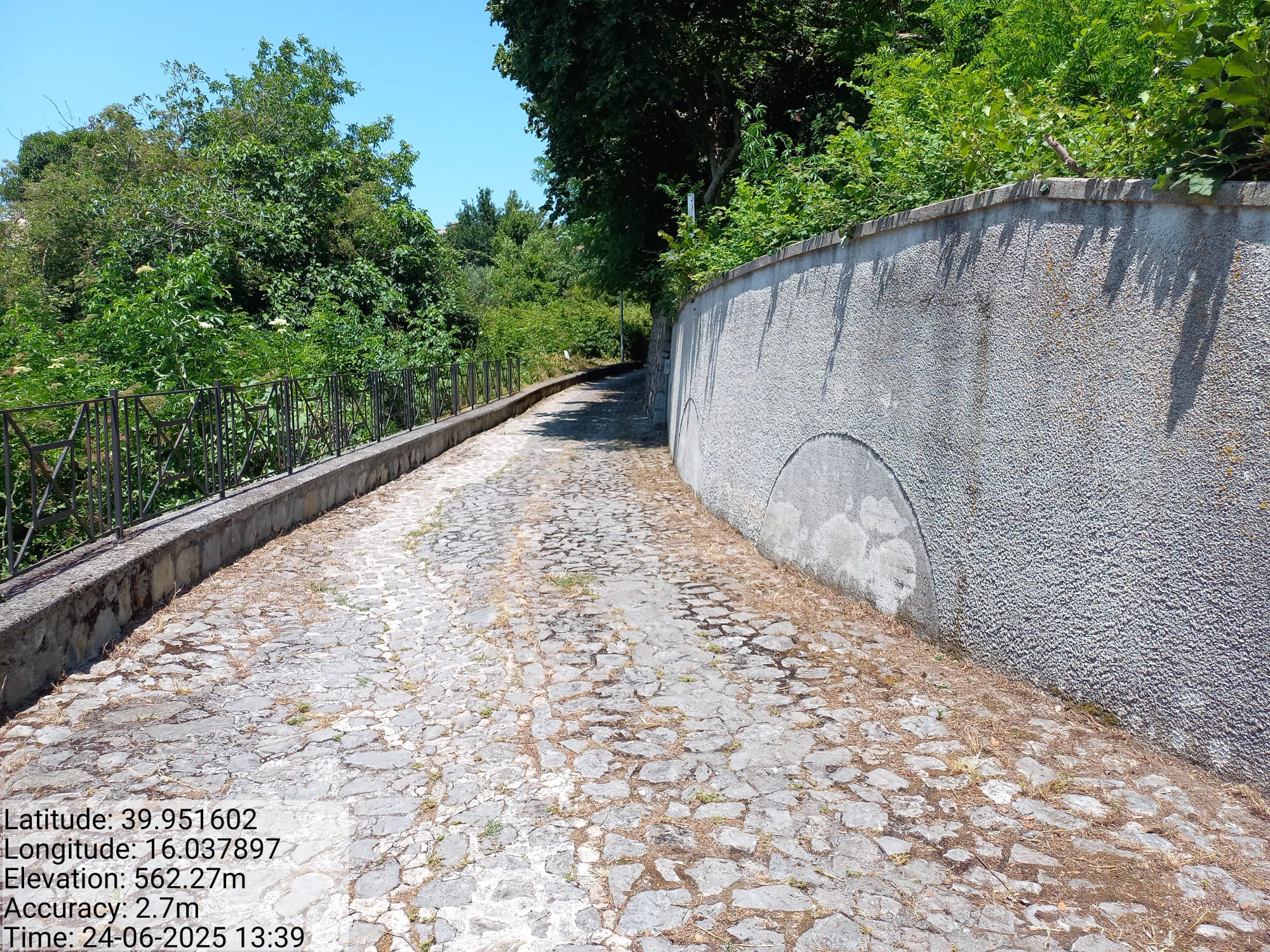 Galleria Fotografica Immagine