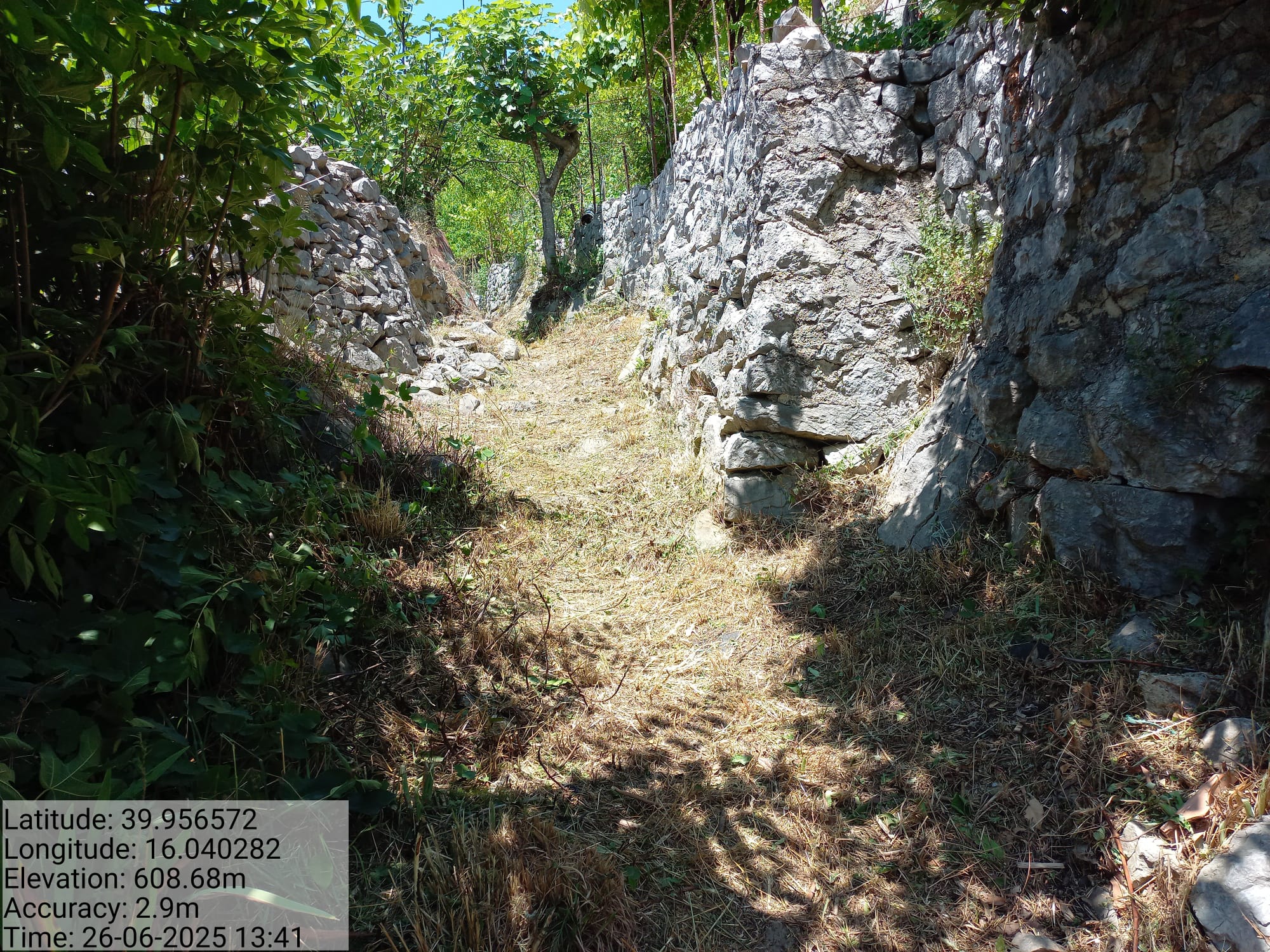 Galleria Fotografica Immagine