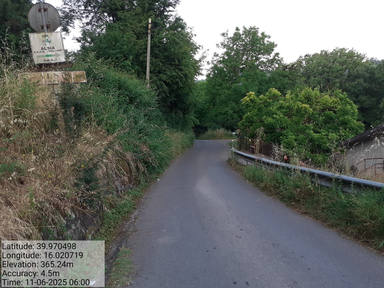 Galleria Fotografica Immagine