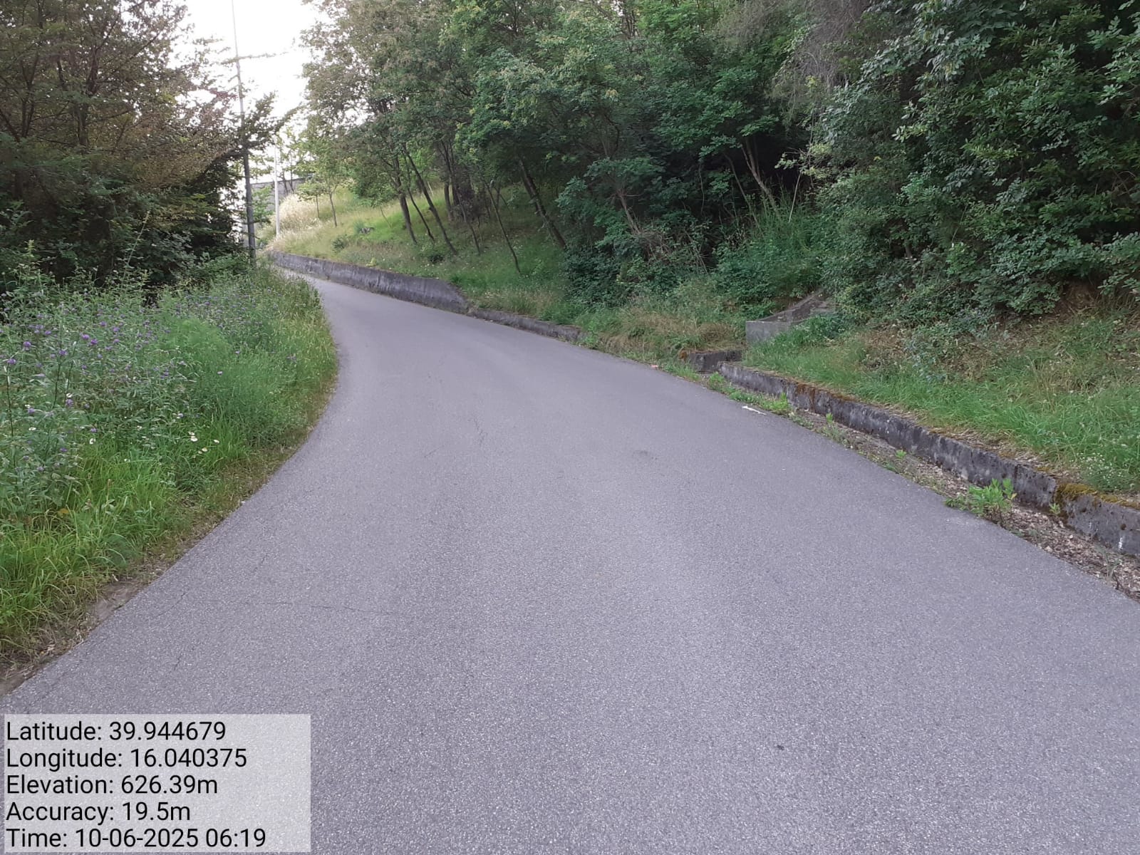 Galleria Fotografica Immagine