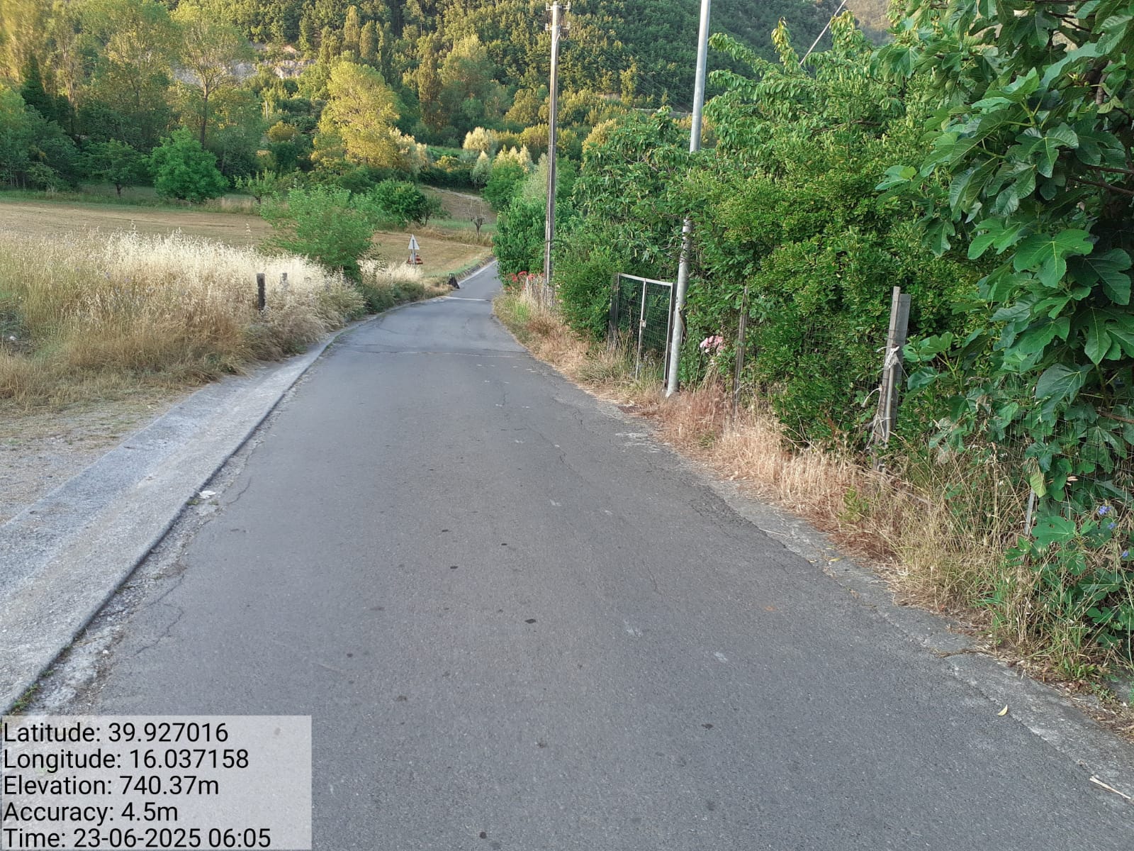 Galleria Fotografica Immagine