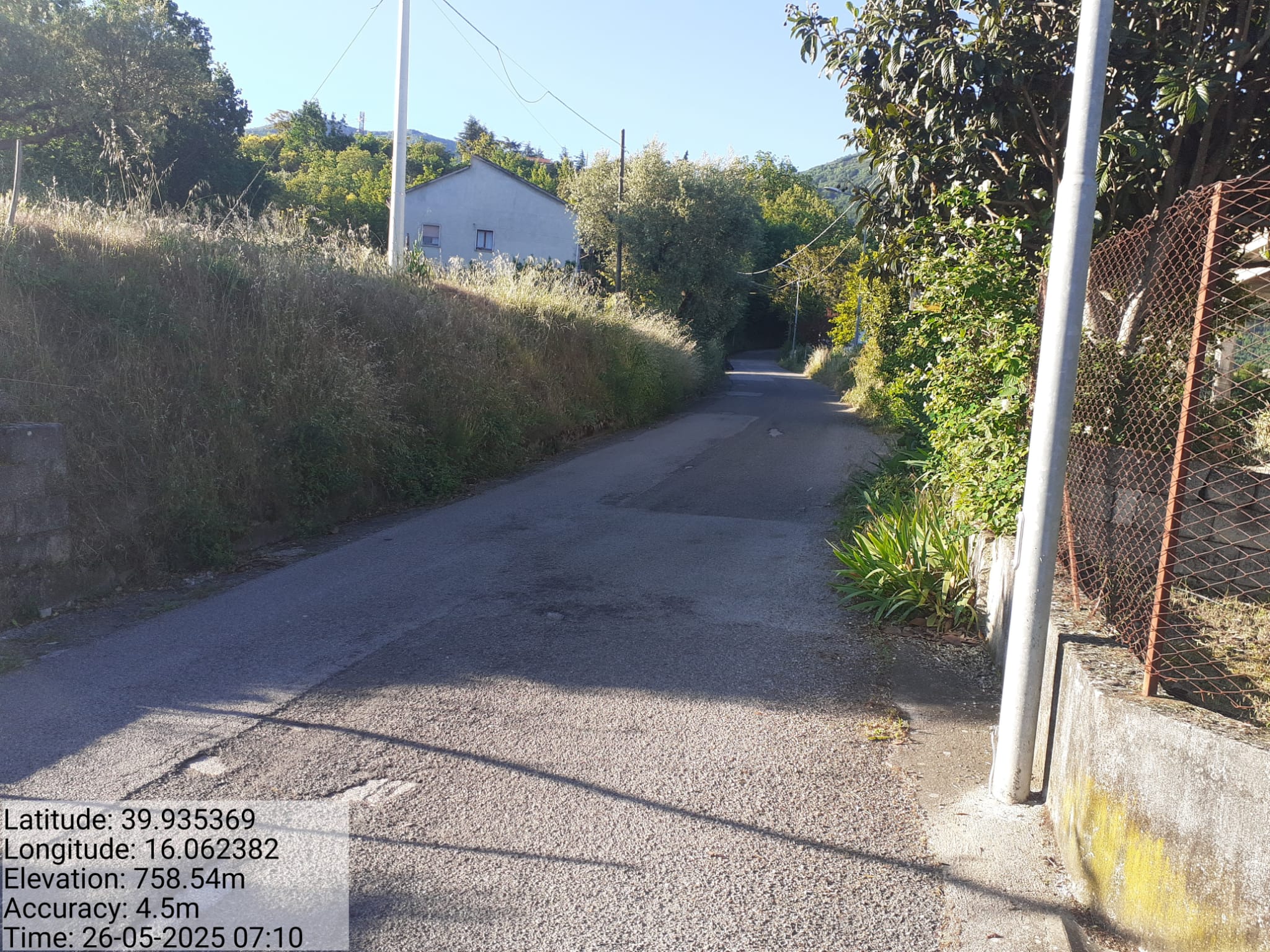 Galleria Fotografica Immagine