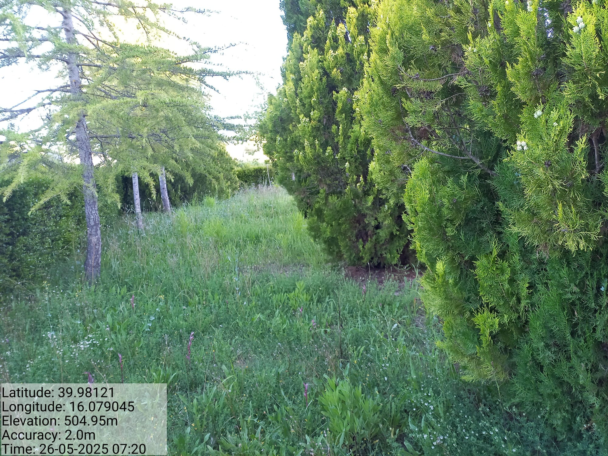 Galleria Fotografica Immagine