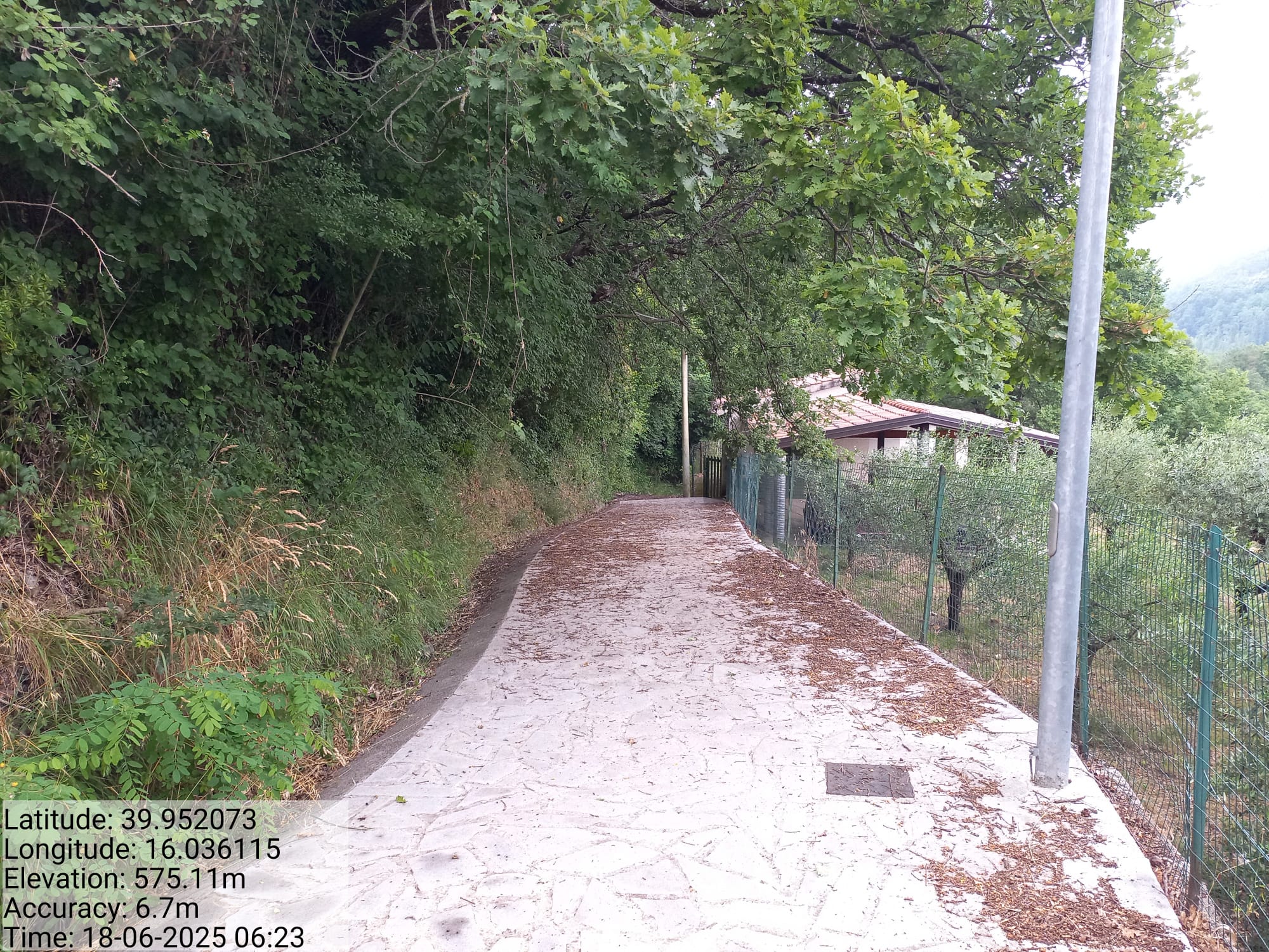 Galleria Fotografica Immagine