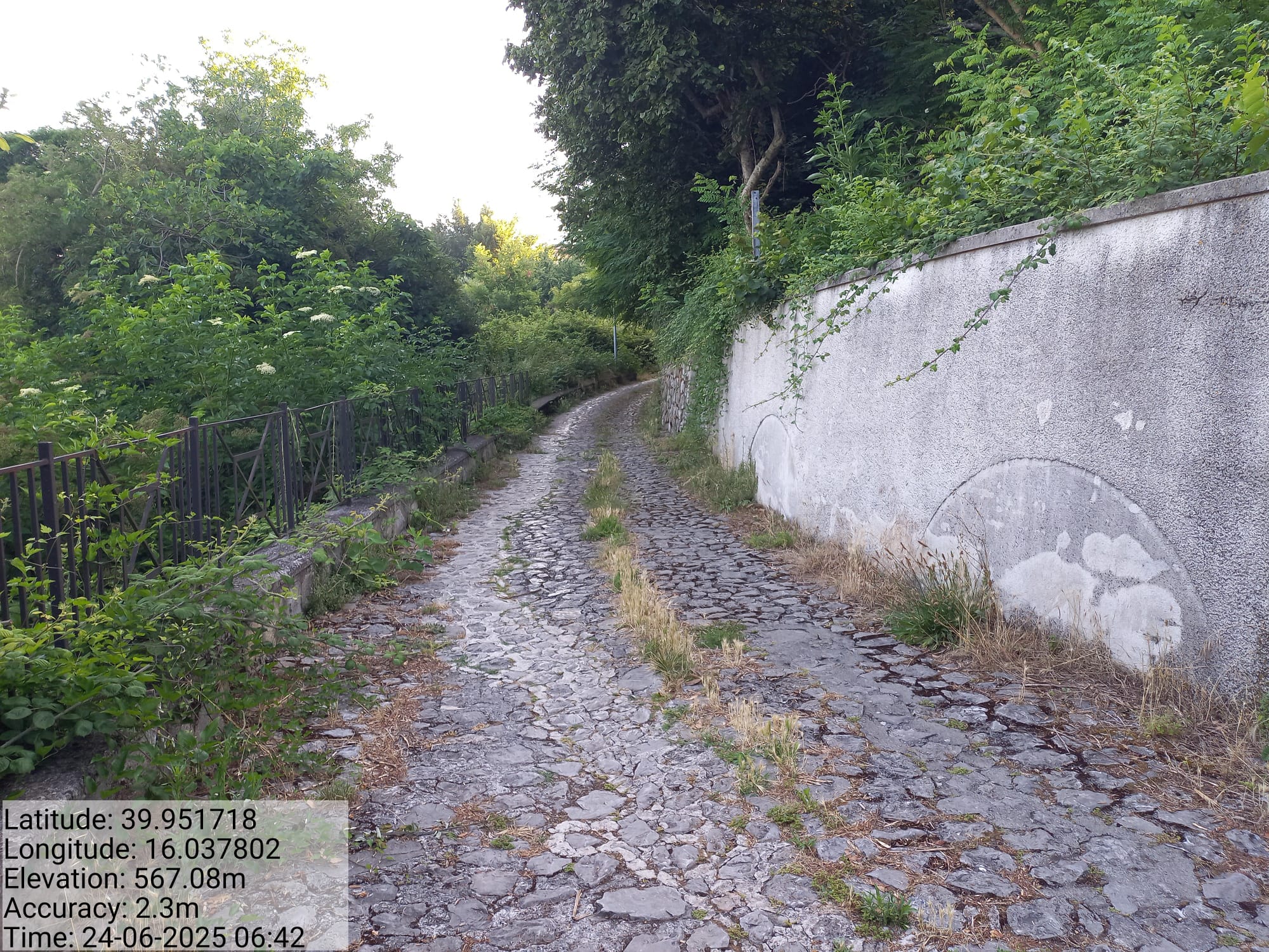 Galleria Fotografica Immagine