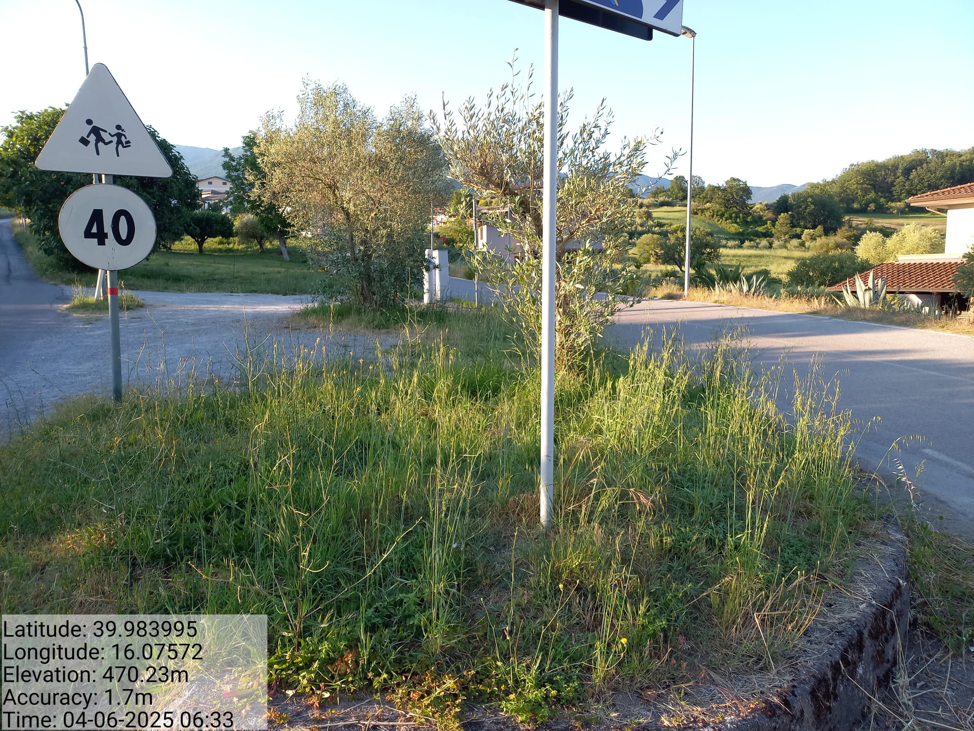 Galleria Fotografica Immagine