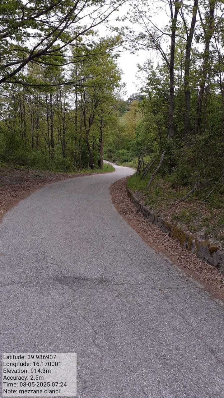 Galleria Fotografica Immagine