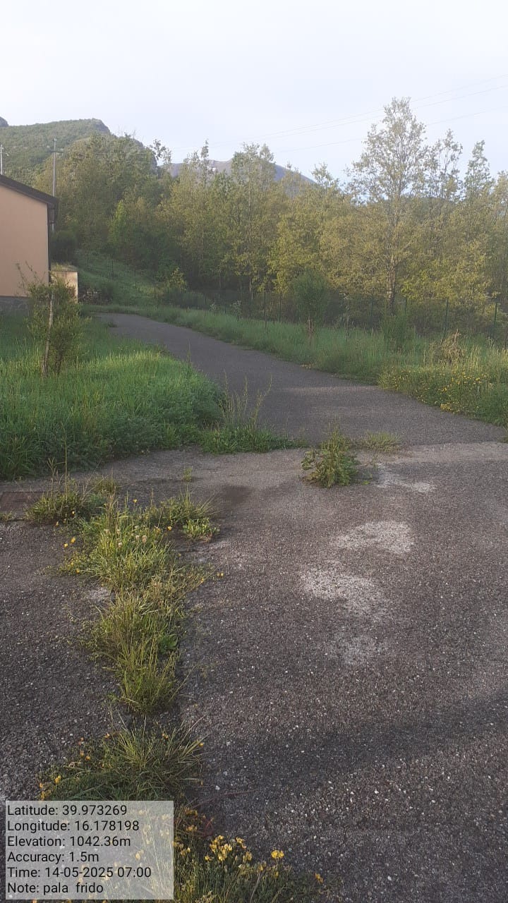 Galleria Fotografica Immagine