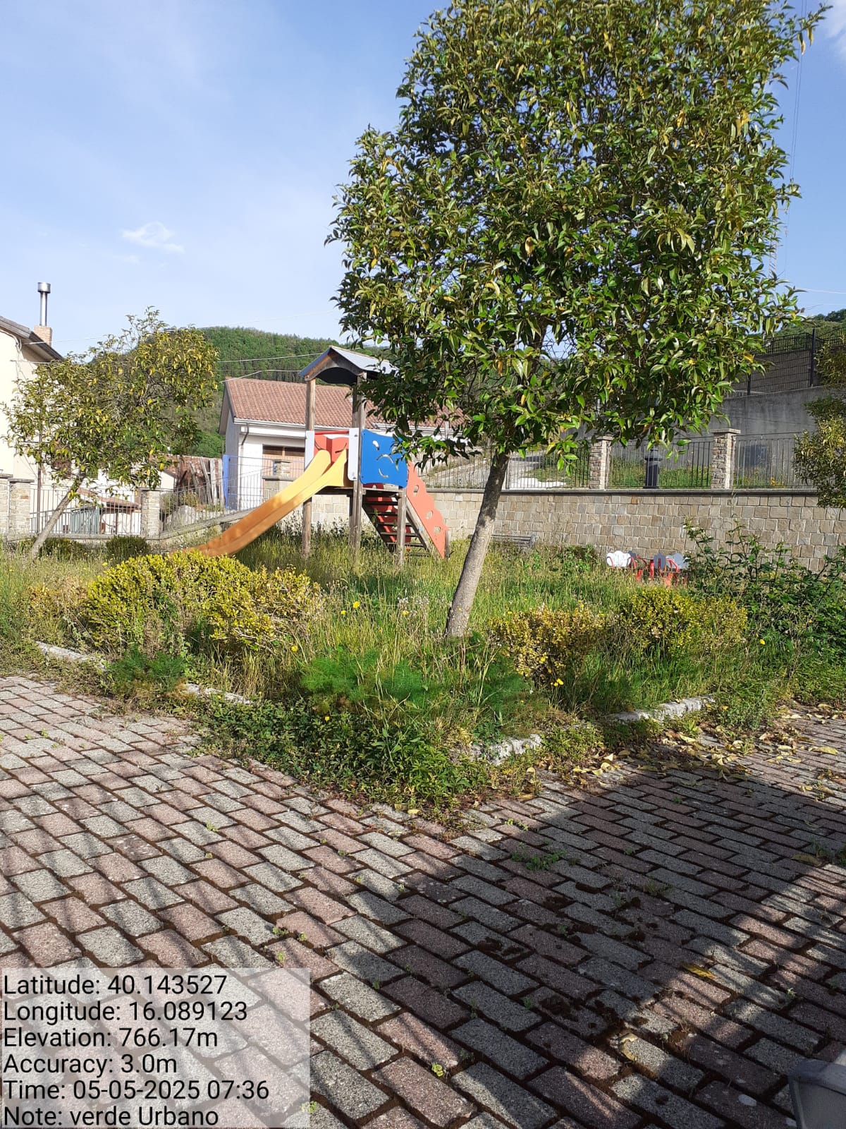 Galleria Fotografica Immagine