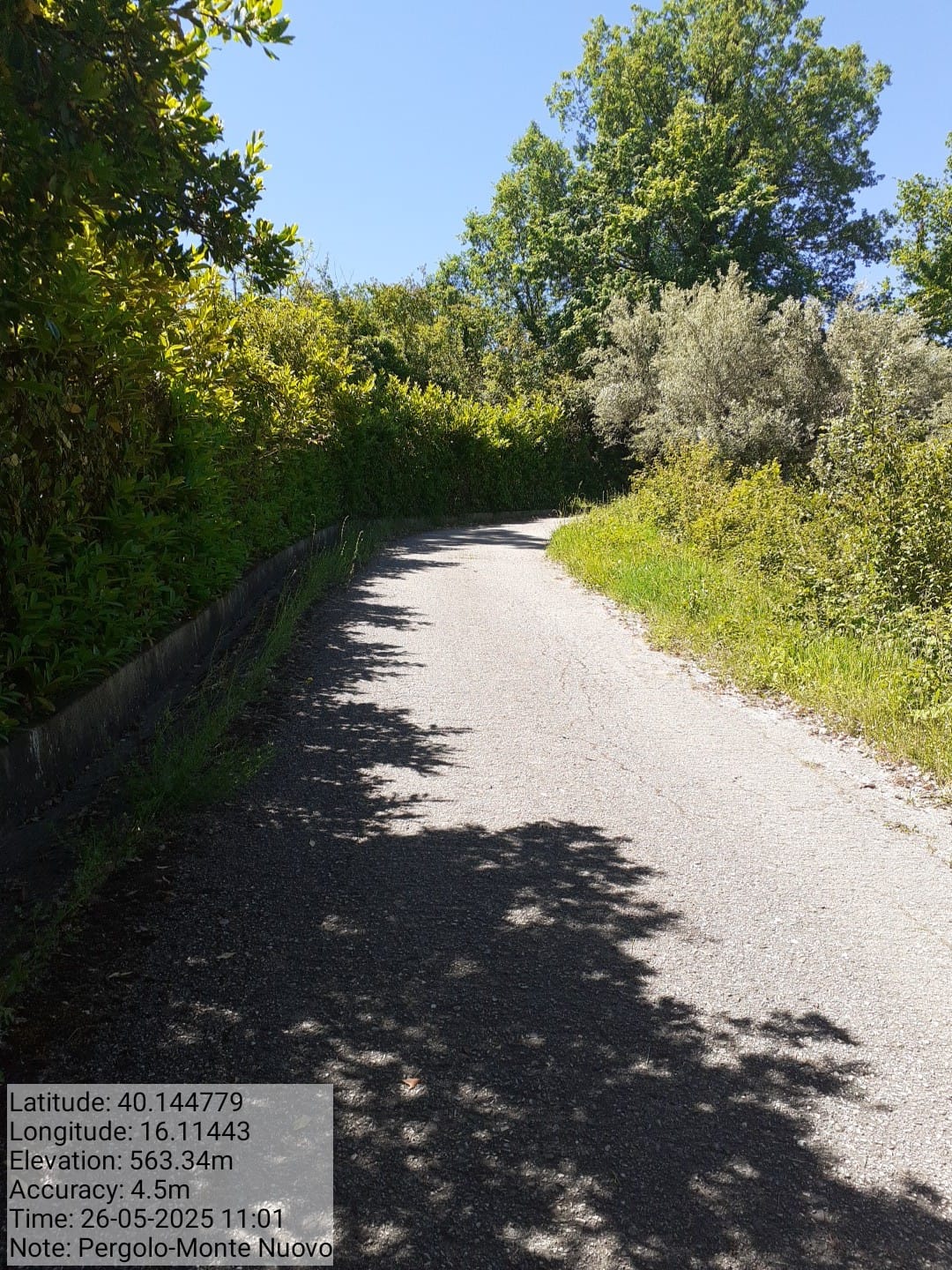 Galleria Fotografica Immagine