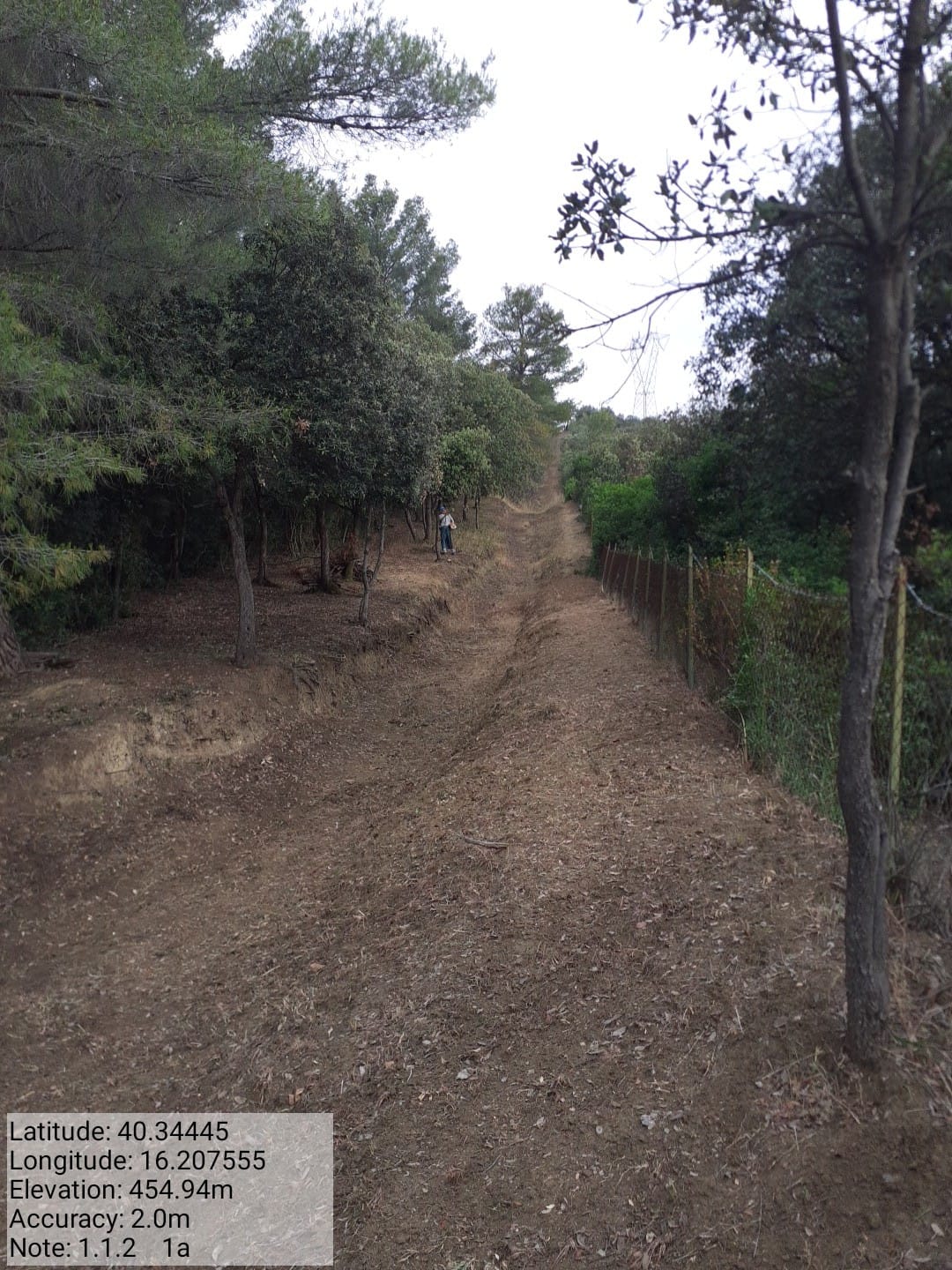 Galleria Fotografica Immagine