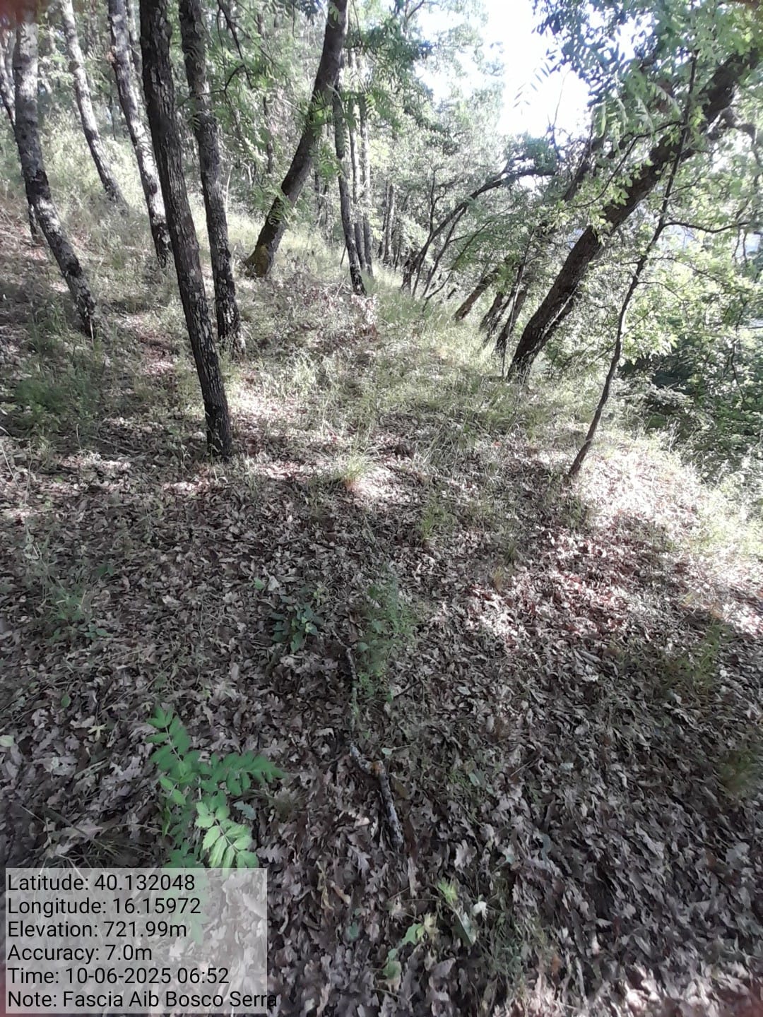 Galleria Fotografica Immagine