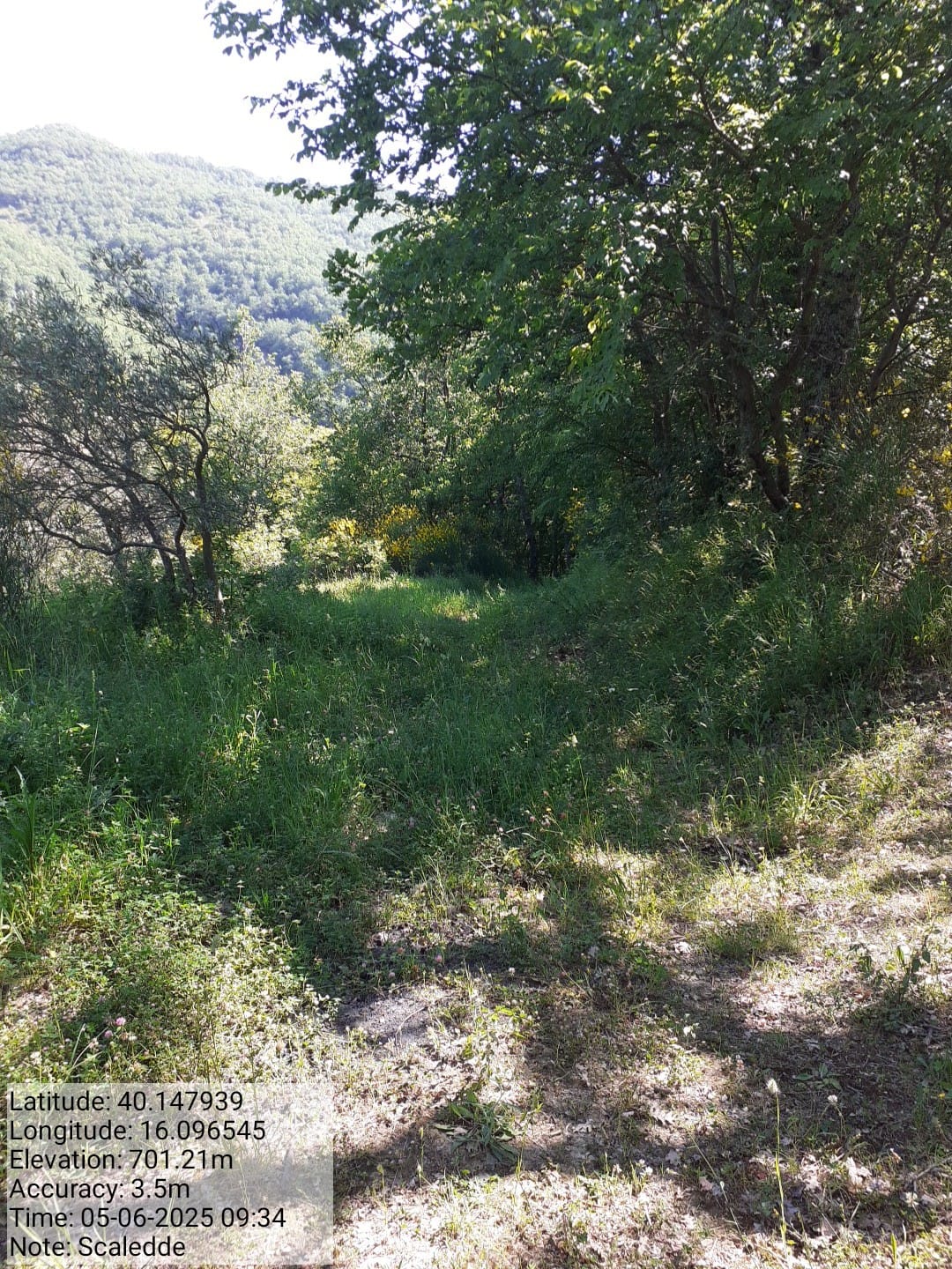 Galleria Fotografica Immagine