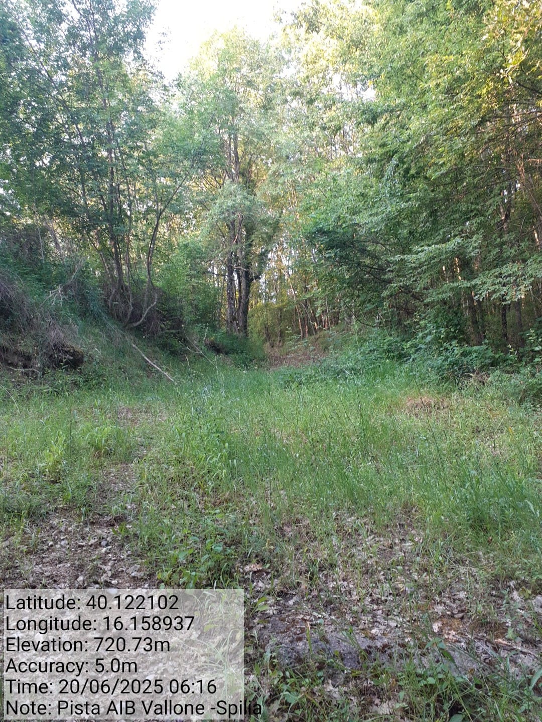 Galleria Fotografica Immagine